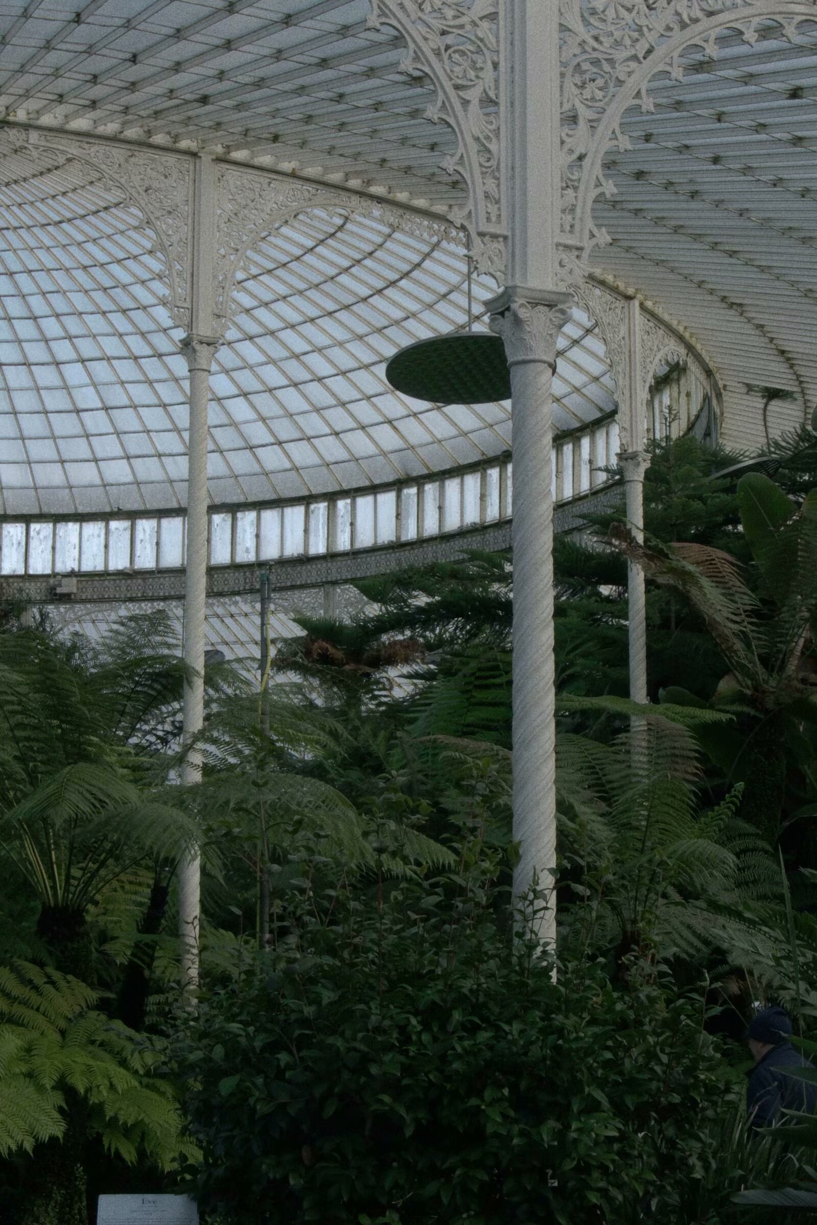 21/10/2023 photograph 5 — 英国格拉斯哥 · 2023年