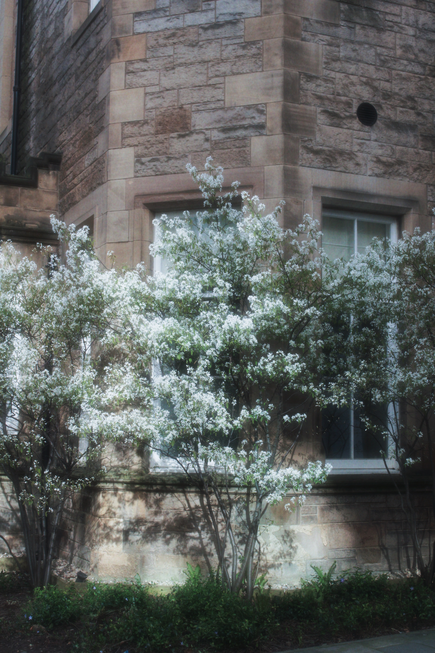 05/04/2025 - Memories of you photograph 10 — 英国爱丁堡 · 2025年