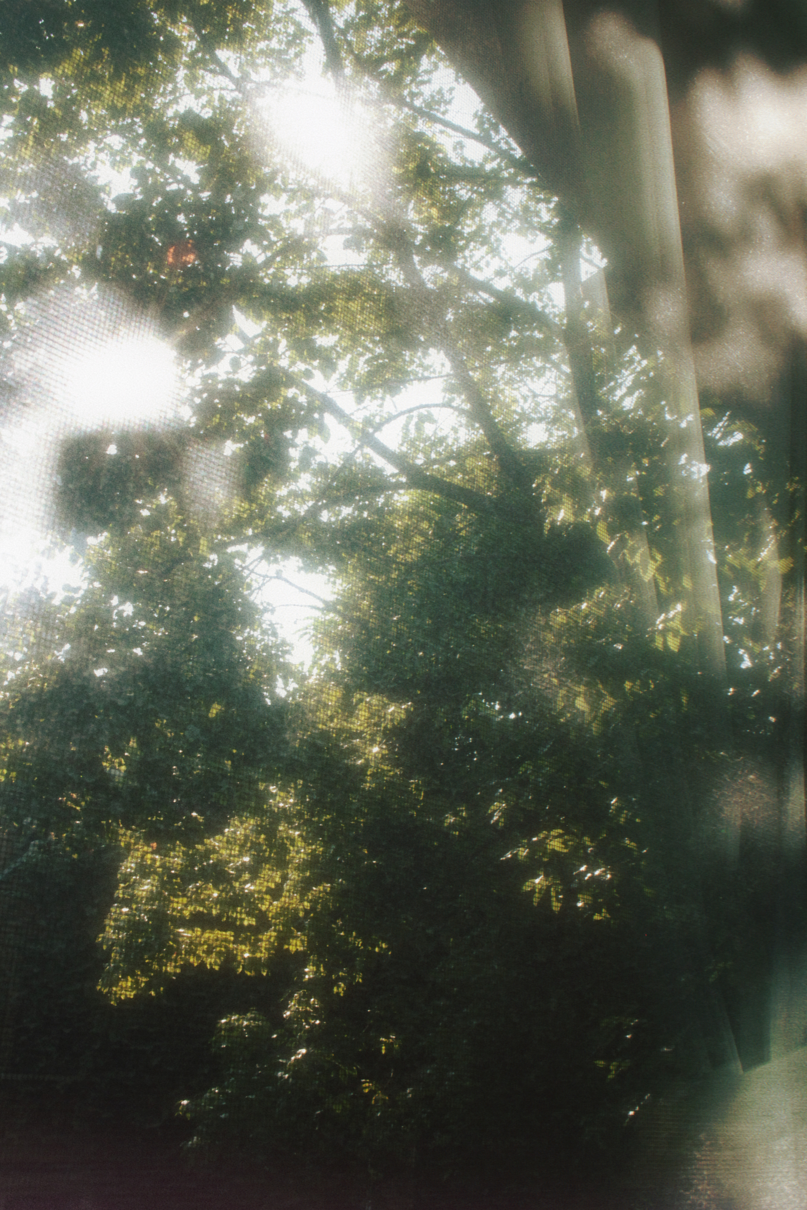 09/08/2023 photograph 1 — 中国重庆市 · 2023年