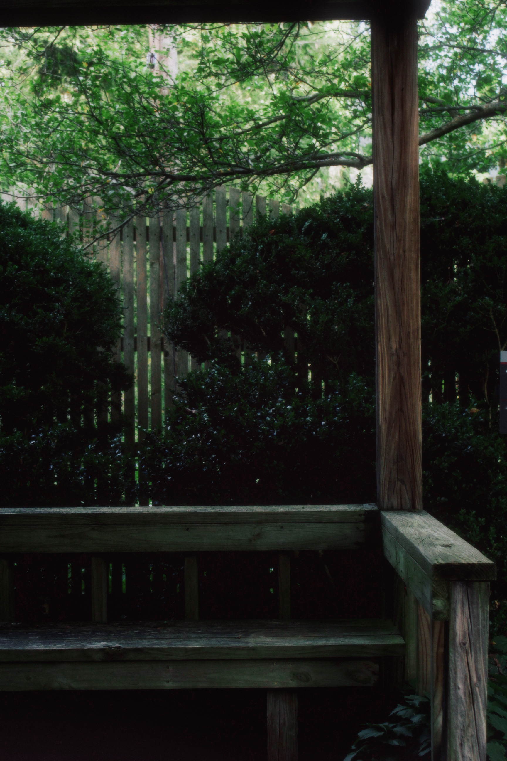 30/08/2025 photograph 4 — 美国纽约伊萨卡 · 2025年