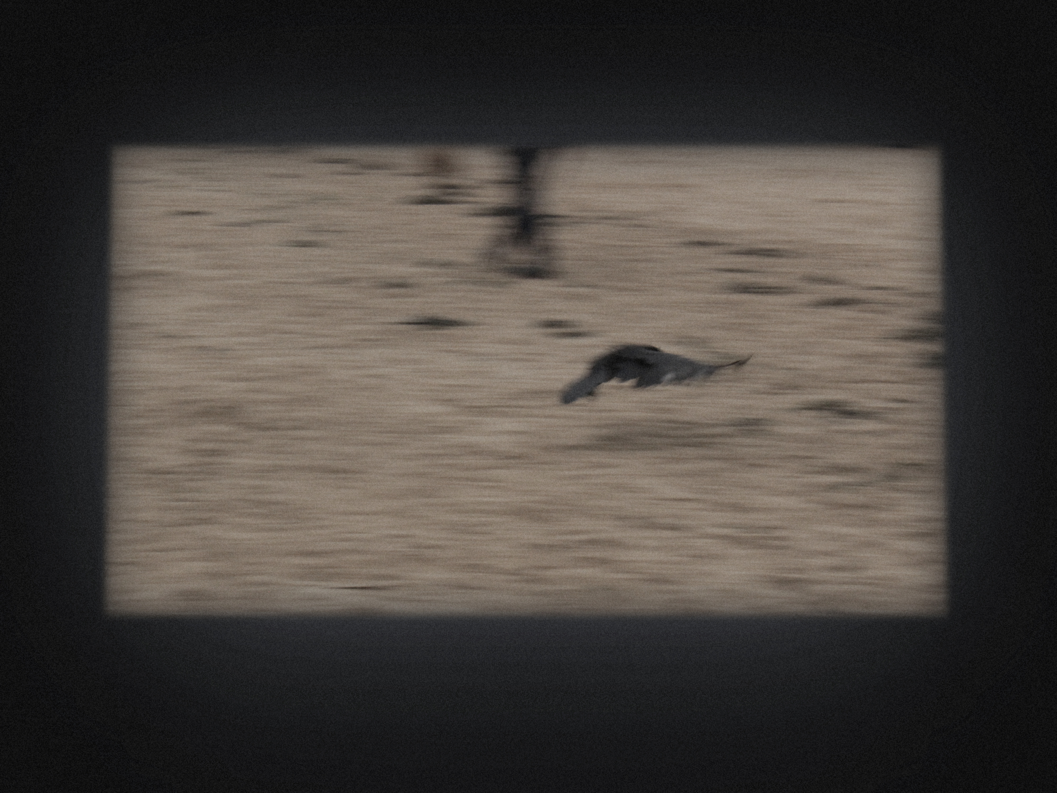 摄影系列预览图：17/09/2023 — 英国爱丁堡 · 2023年