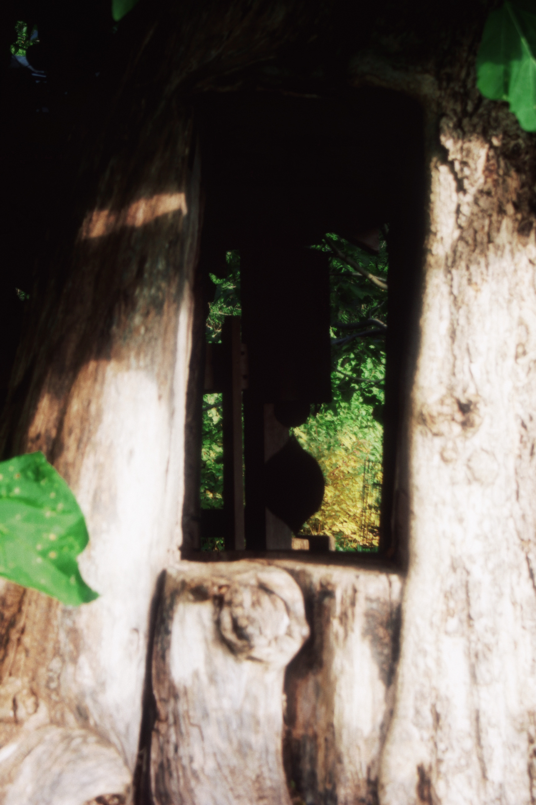 30/08/2025 photograph 3 — 美国纽约伊萨卡 · 2025年