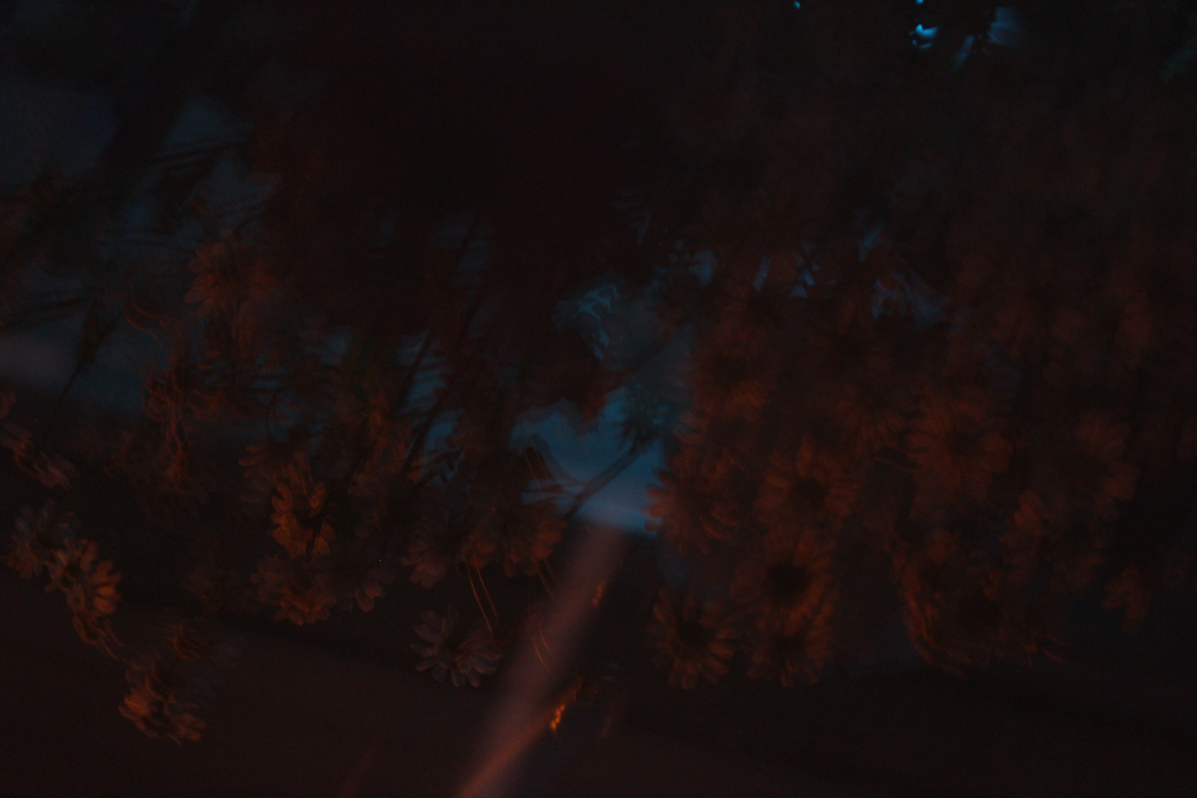 摄影系列预览图：01/06/2022 — 英国奥斯沃斯特里 · 2022年