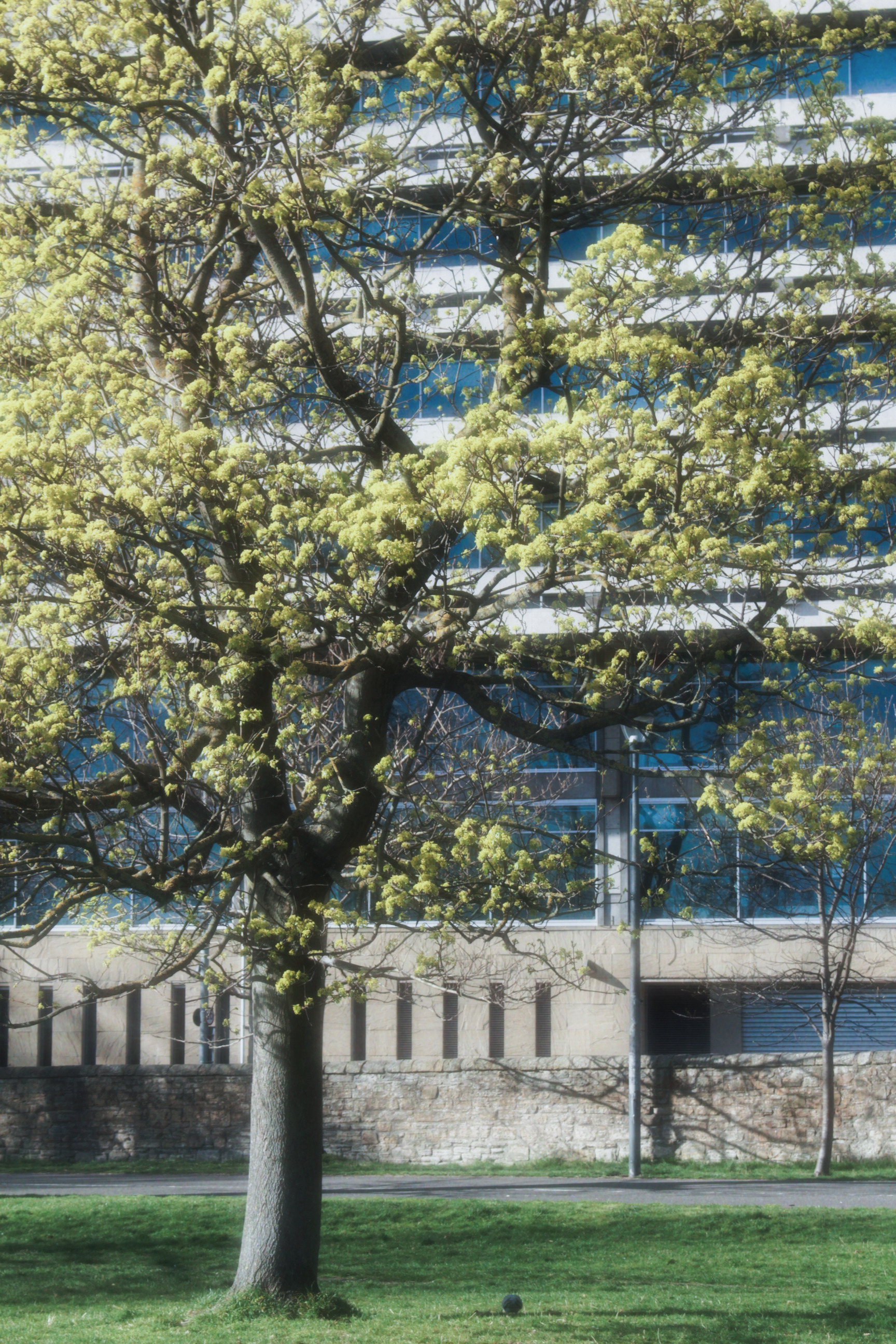 05/04/2025 - Memories of you photograph 3 — 英国爱丁堡 · 2025年