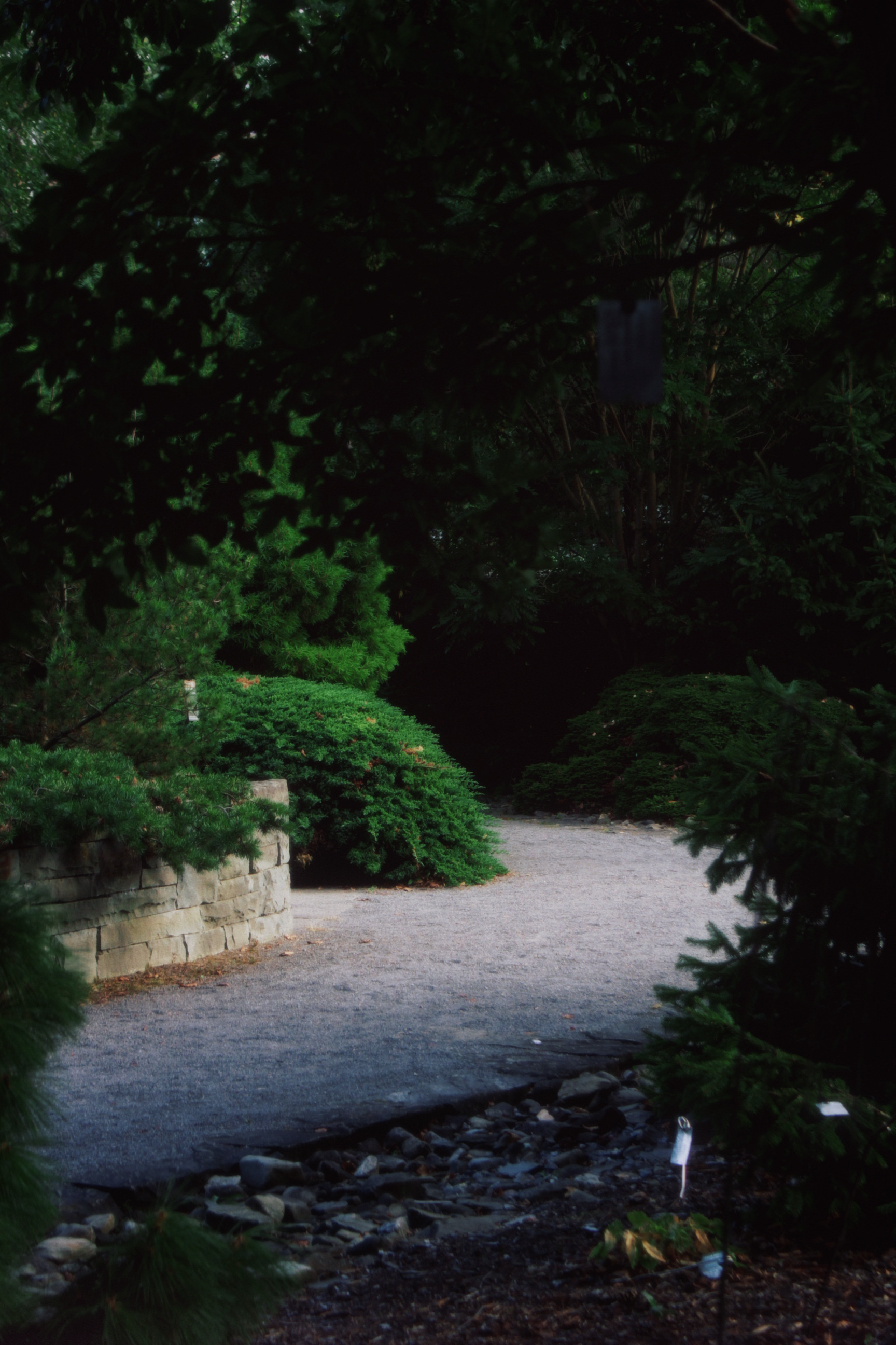 30/08/2025 photograph 1 — 美国纽约伊萨卡 · 2025年