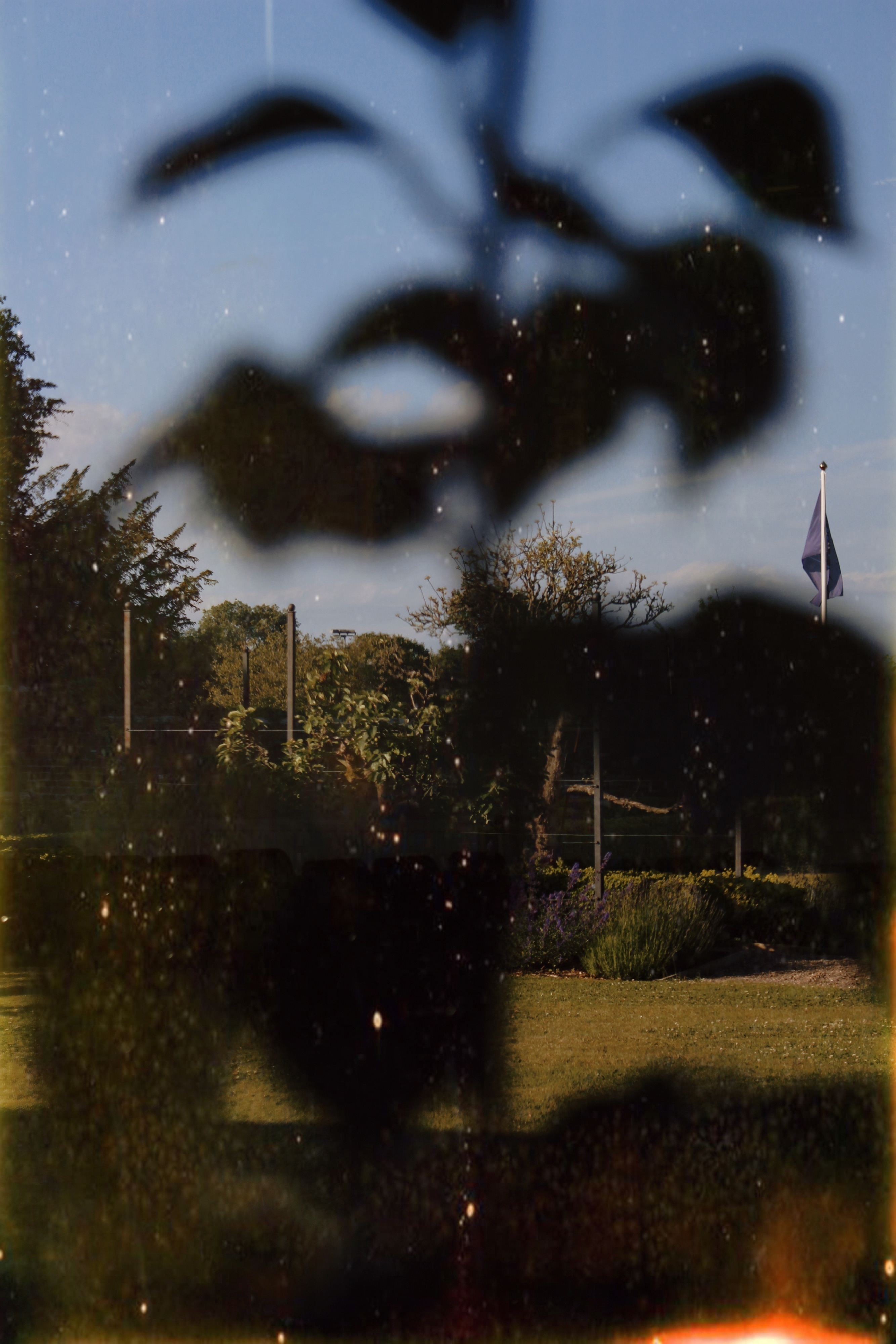 14/06/2022 photograph 5 — 英国奥斯沃斯特里 · 2022年