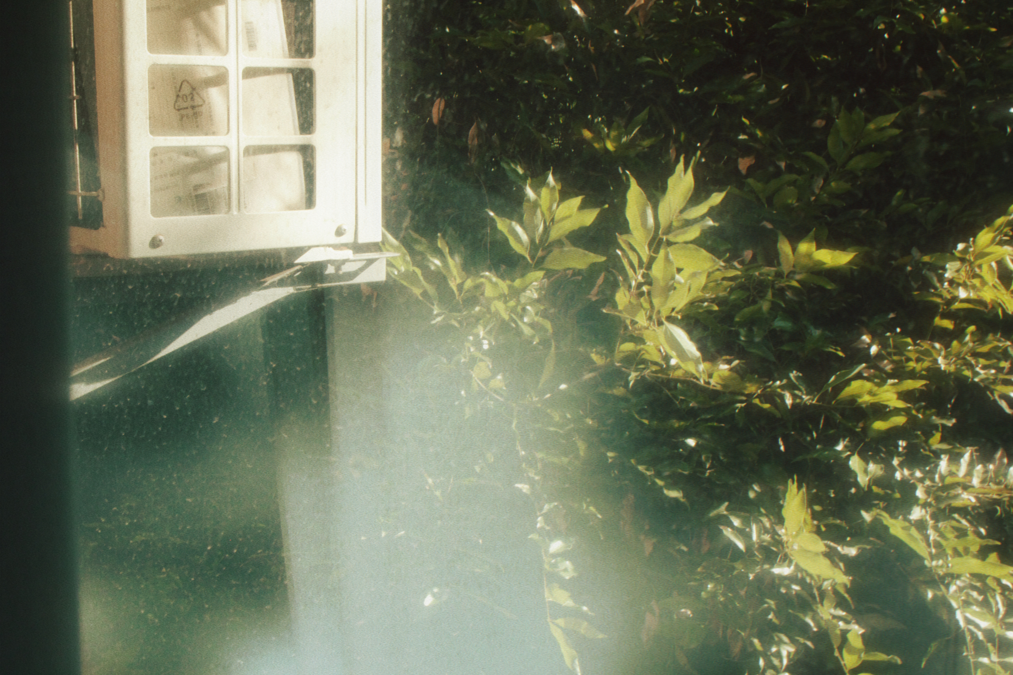 09/08/2023 photograph 11 — 中国重庆市 · 2023年