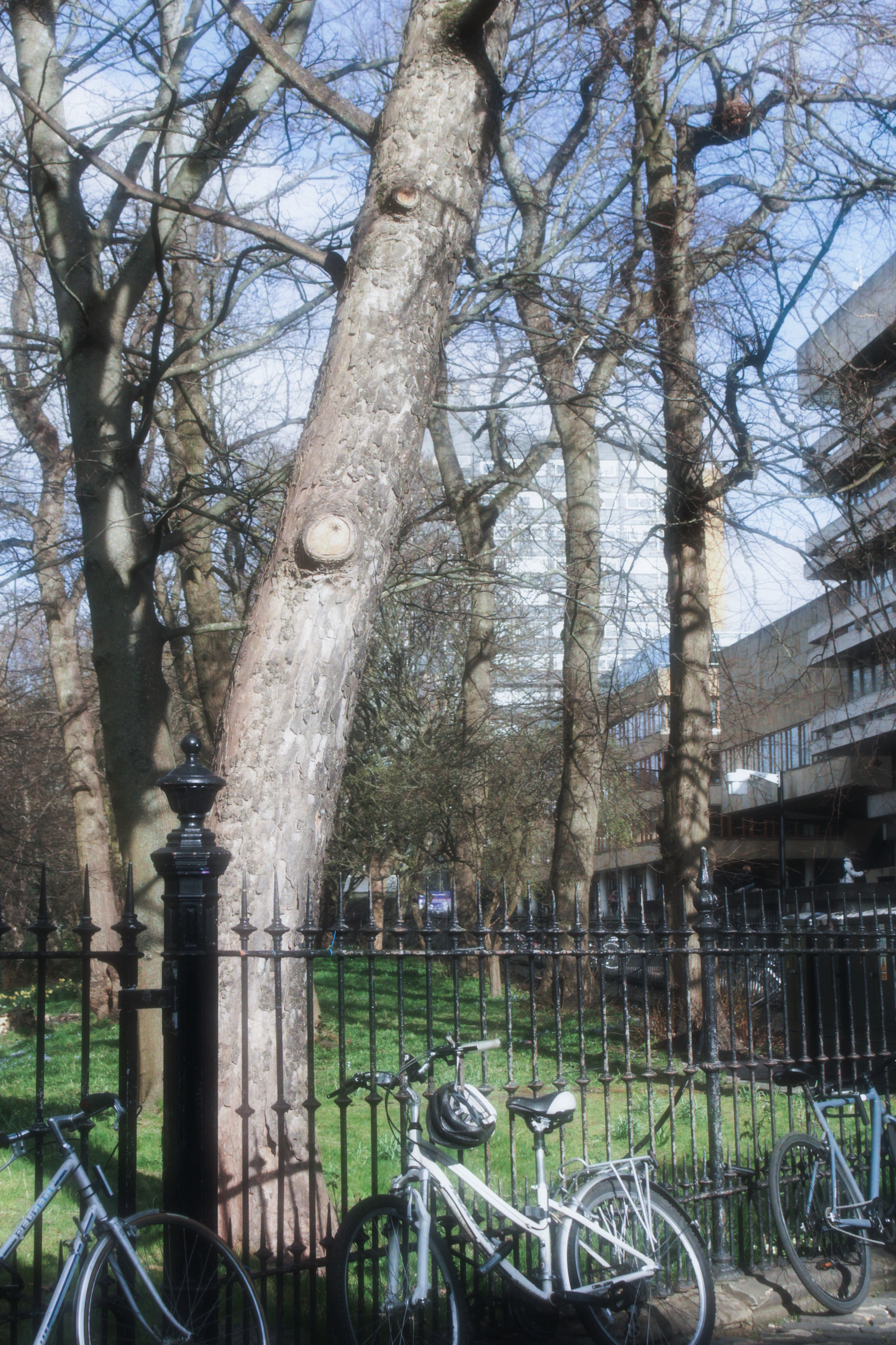 05/04/2025 - Memories of you photograph 17 — 英国爱丁堡 · 2025年