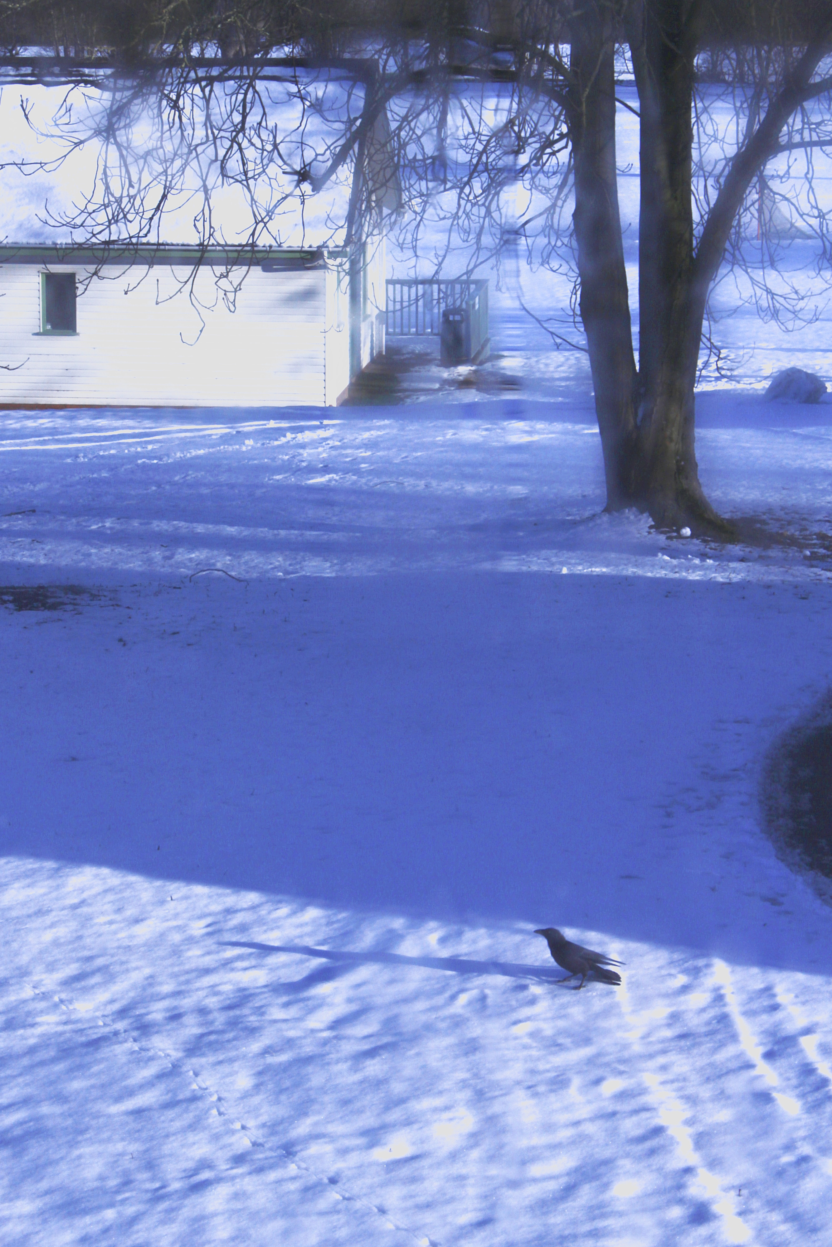 11/03/2023 photograph 1 — 英国奥斯沃斯特里 · 2023年