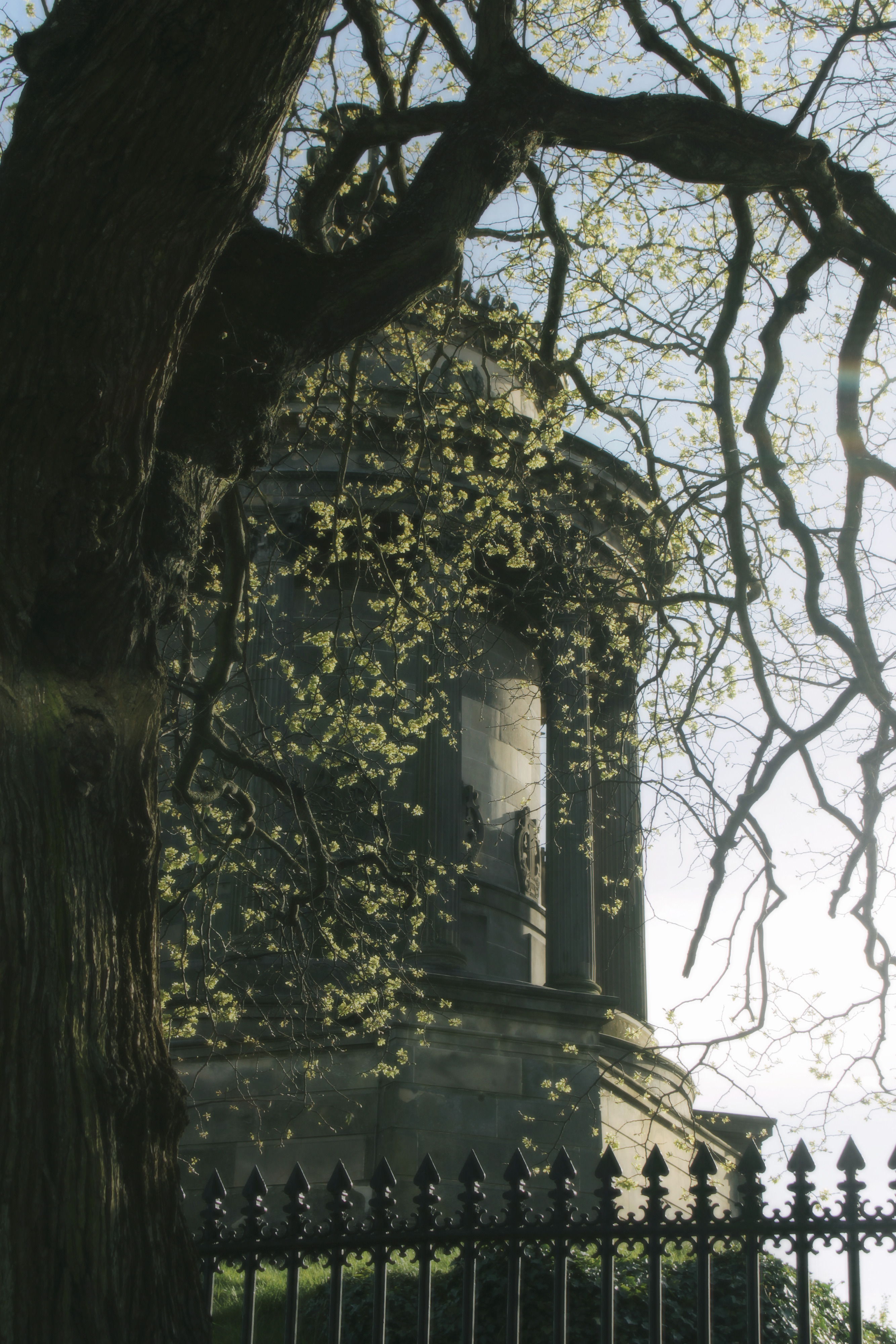 20/04/2024 photograph 12 — 英国爱丁堡 · 2024年