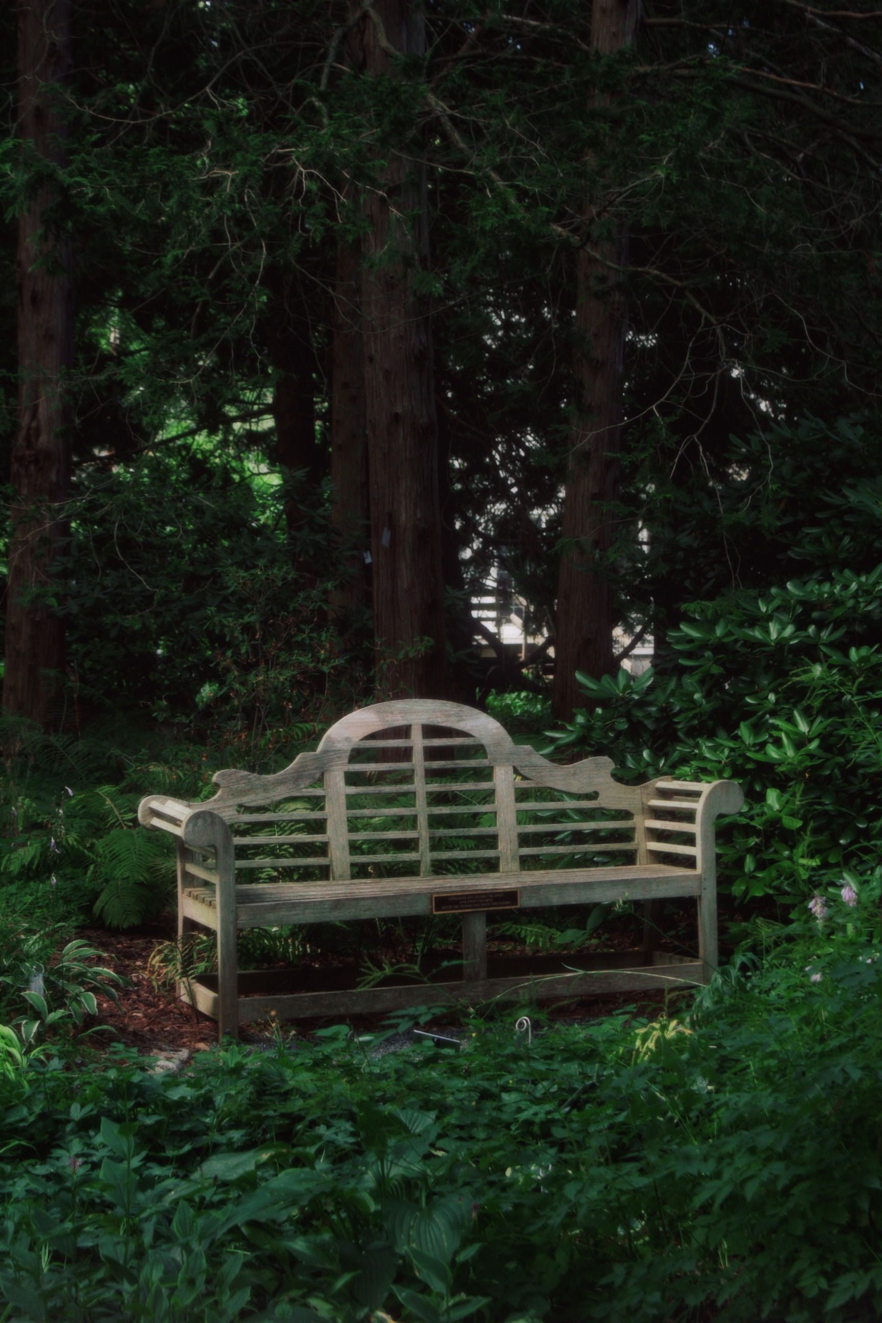 隐入口 — 美国 · 伊萨卡