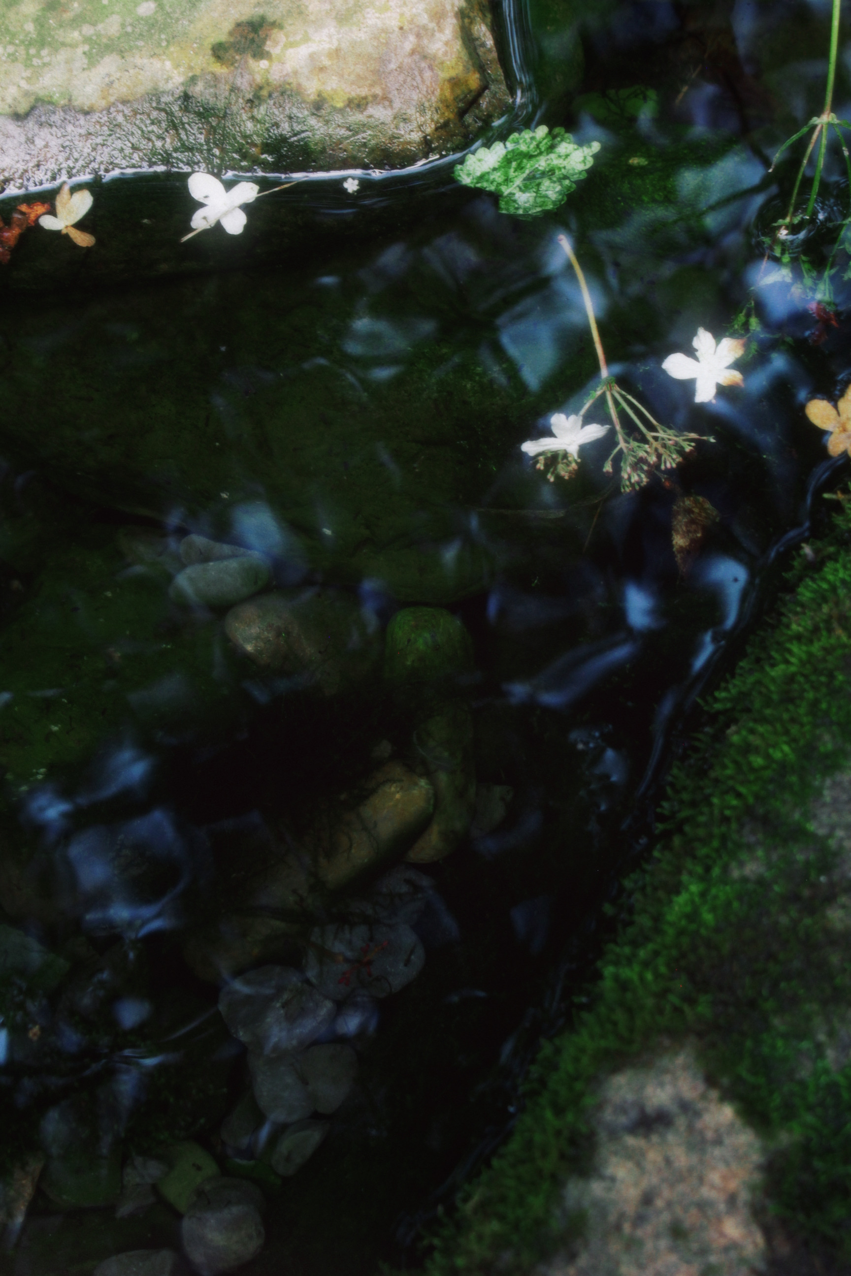 30/08/2025 photograph 2 — 美国纽约伊萨卡 · 2025年