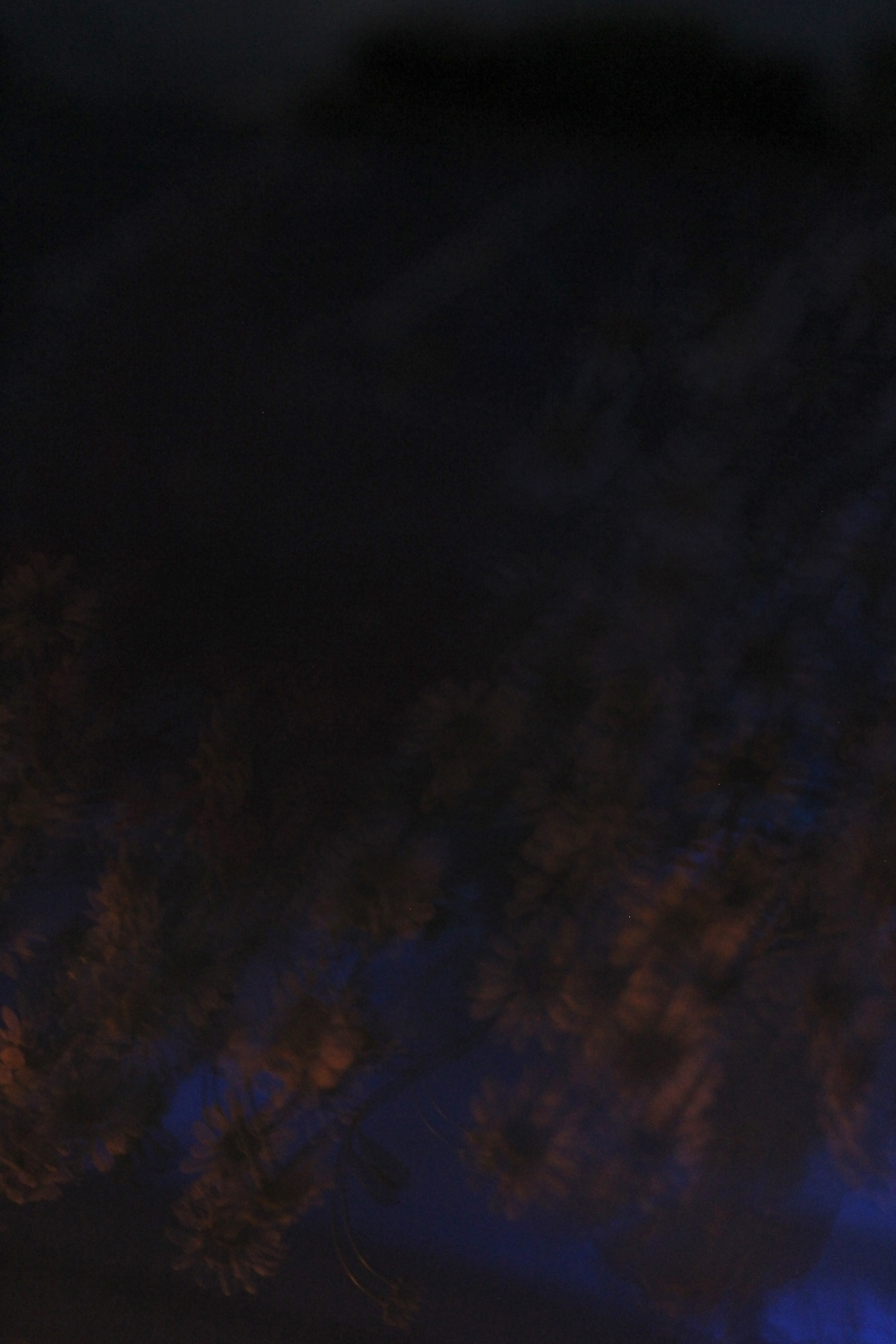 01/06/2022 photograph 4 — 英国奥斯沃斯特里 · 2022年