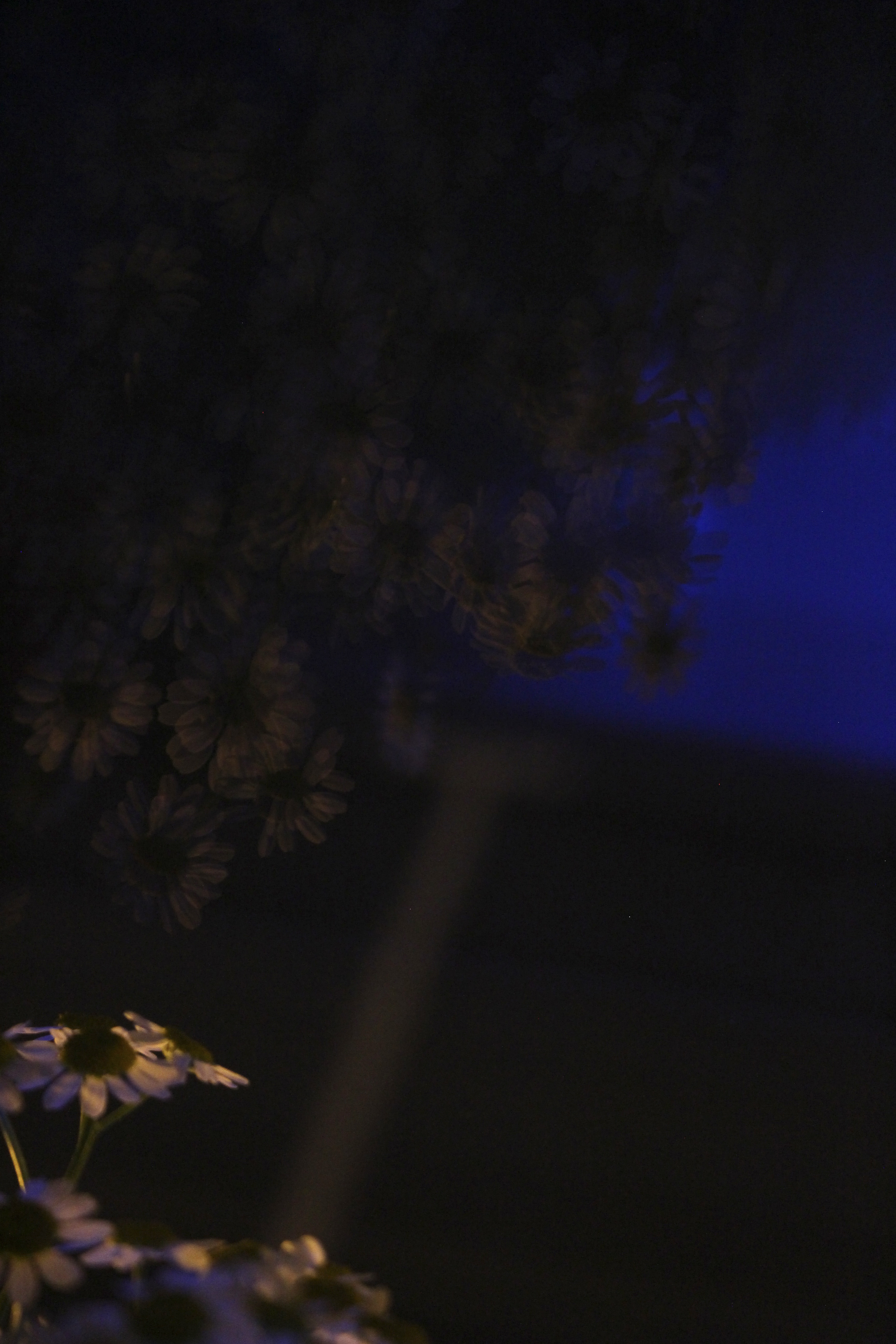 01/06/2022 photograph 2 — 英国奥斯沃斯特里 · 2022年