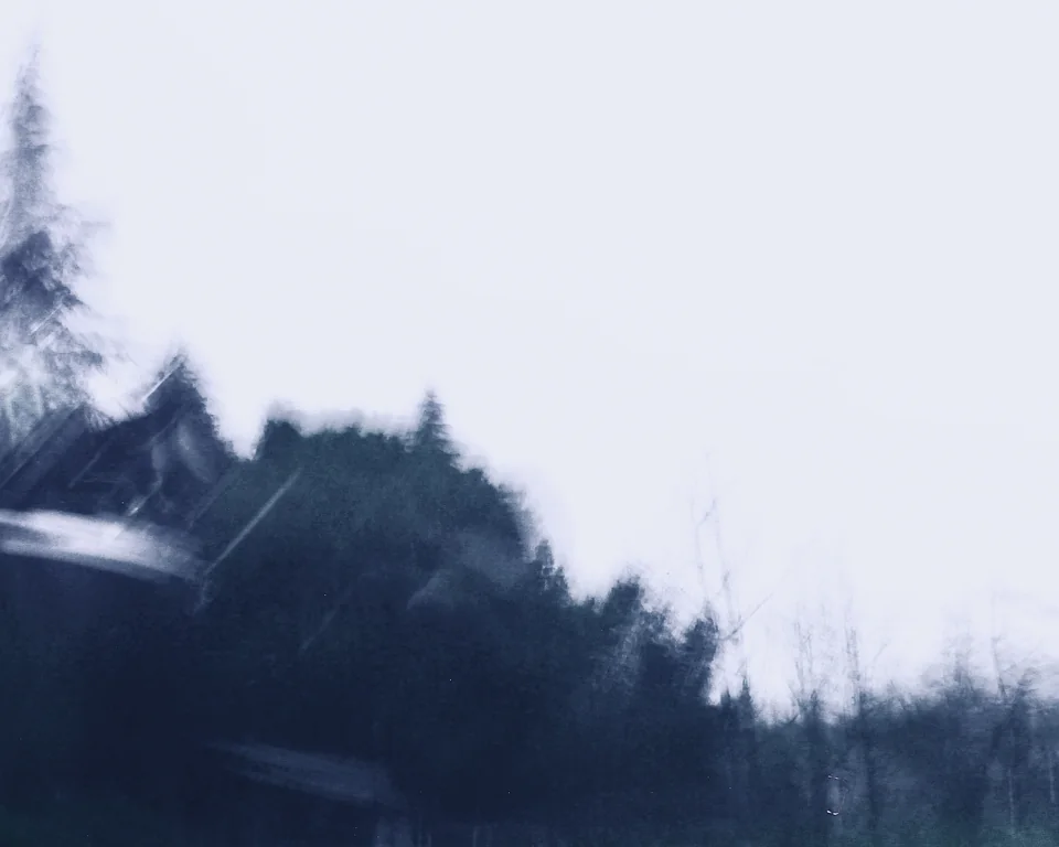参照系 — 中国 · 重庆