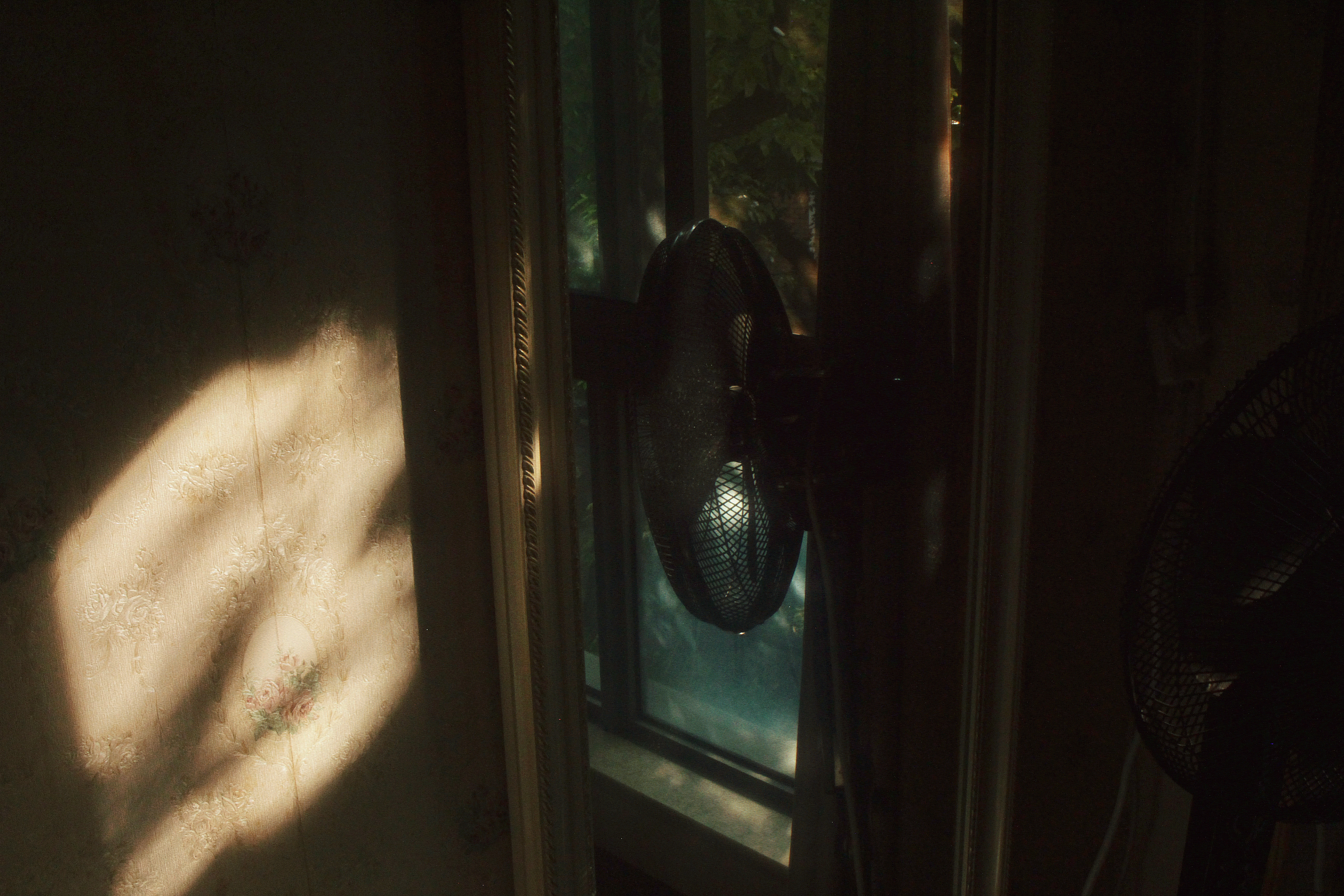 09/08/2023 photograph 6 — 中国重庆市 · 2023年