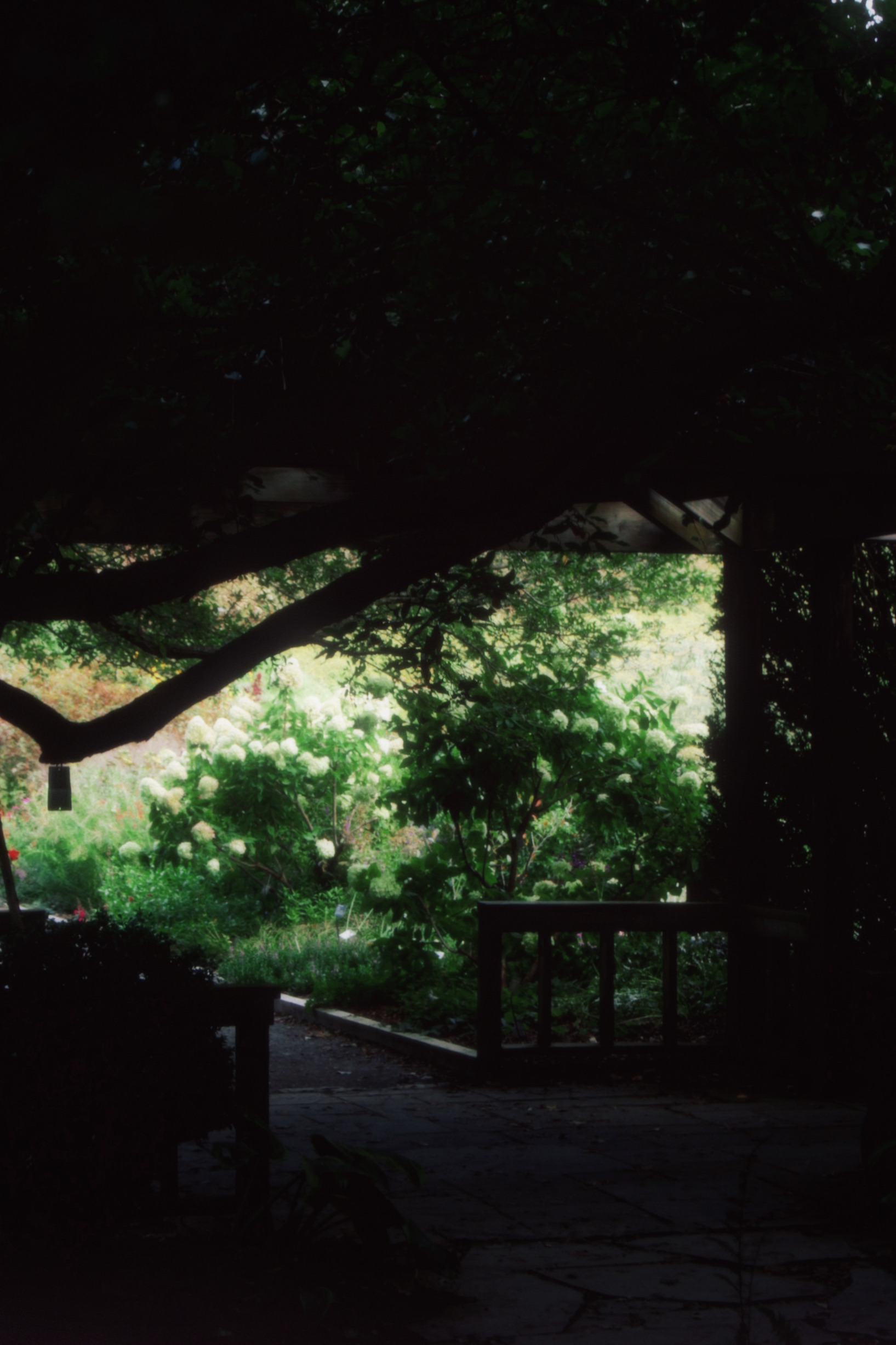 30/08/2025 photograph 5 — 美国纽约伊萨卡 · 2025年