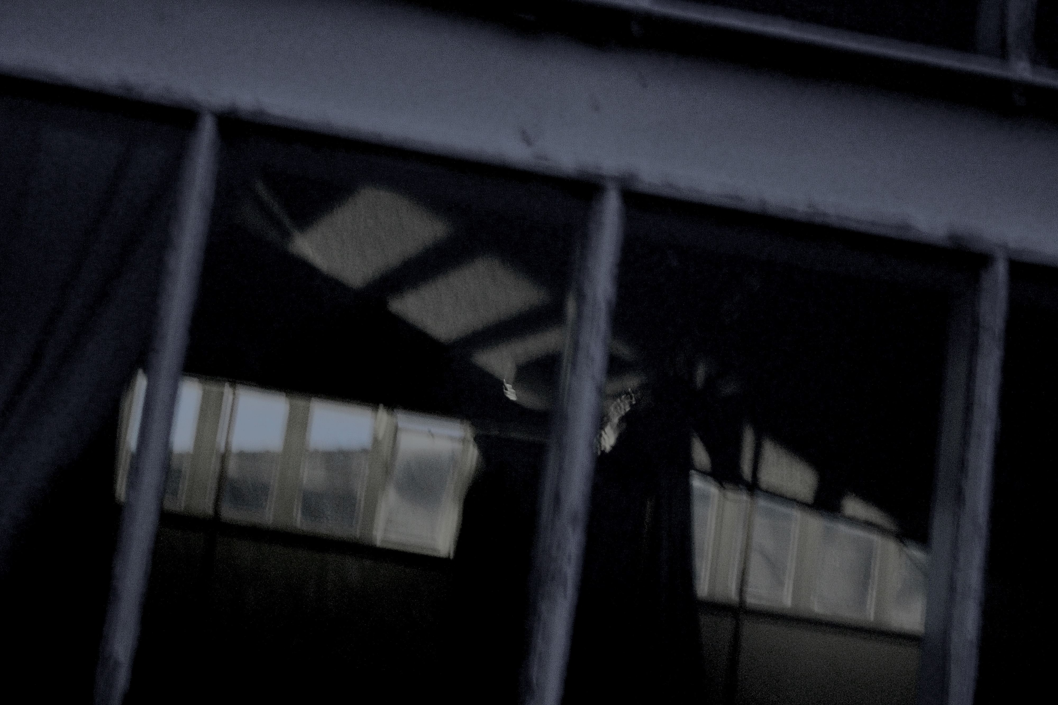 摄影系列预览图：12/04/2022 — 英国奥斯沃斯特里 · 2022年