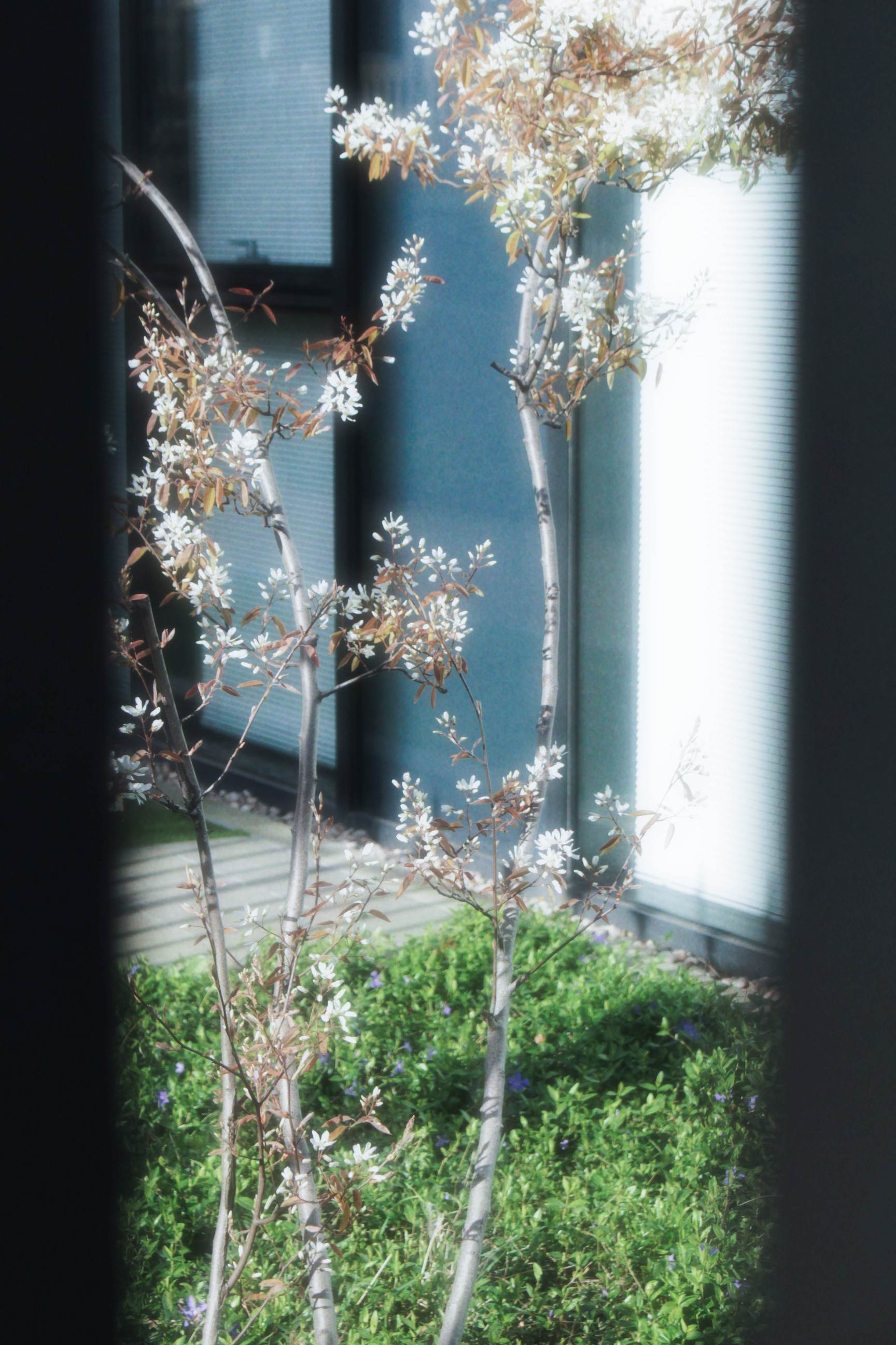 05/04/2025 - Memories of you photograph 5 — 英国爱丁堡 · 2025年