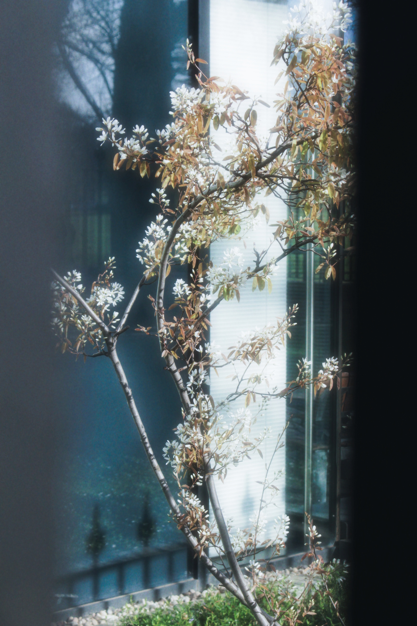 05/04/2025 - Memories of you photograph 6 — 英国爱丁堡 · 2025年