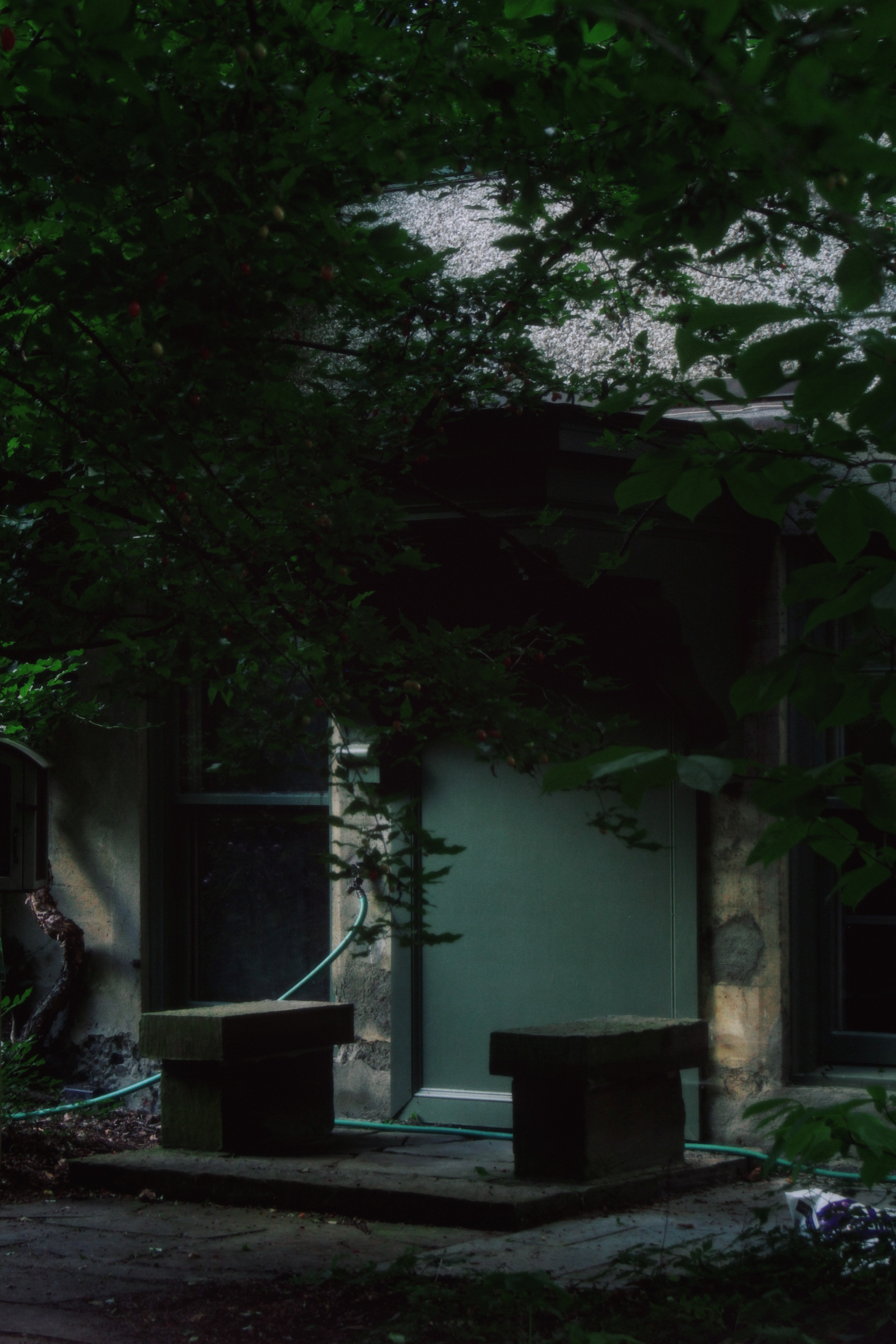 30/08/2025 photograph 6 — 美国纽约伊萨卡 · 2025年