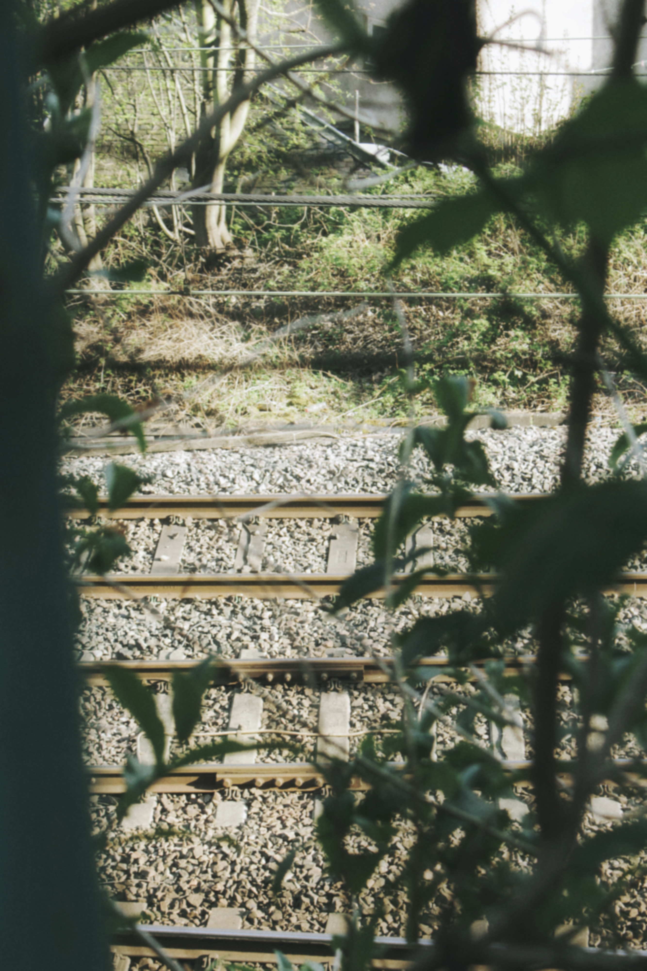 20/04/2024 photograph 11 — 英国爱丁堡 · 2024年