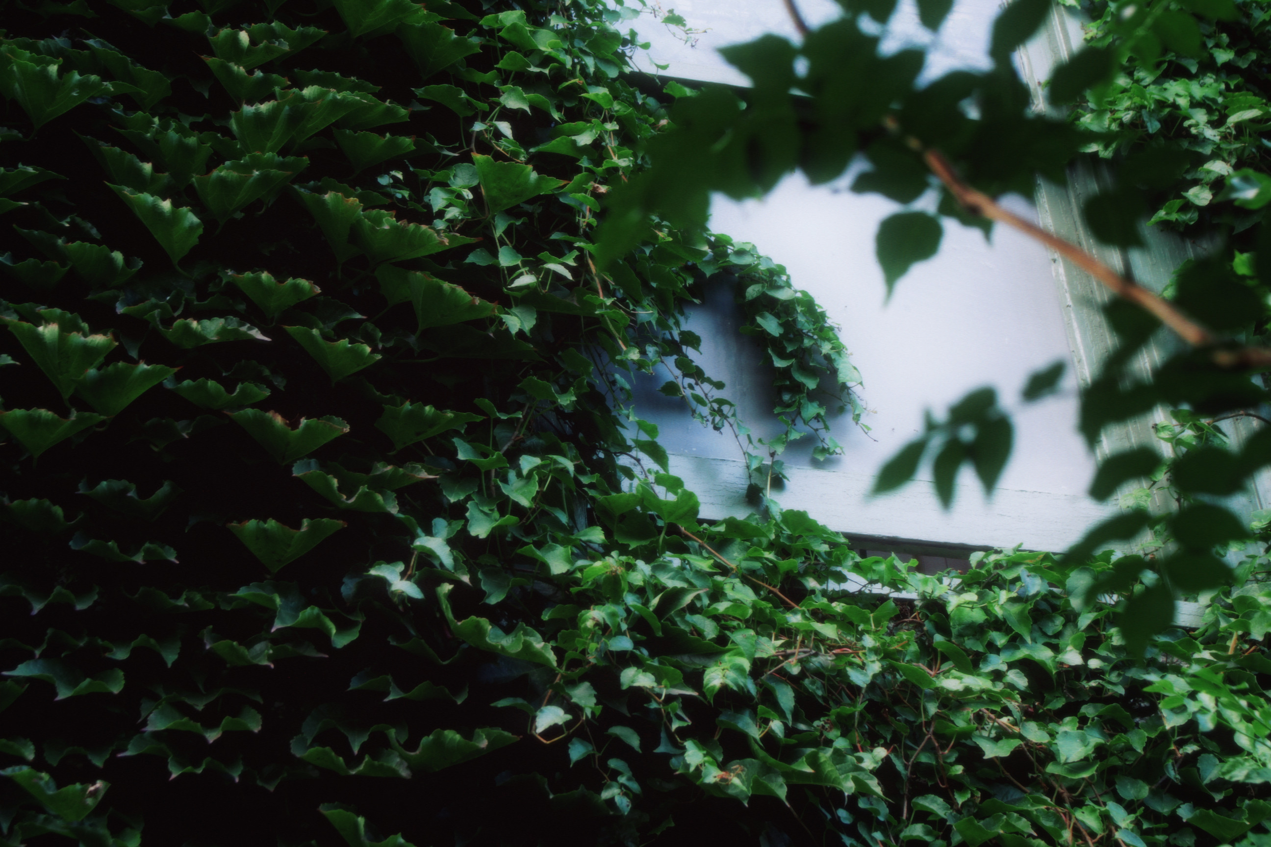 30/08/2025 photograph 12 — 美国纽约伊萨卡 · 2025年