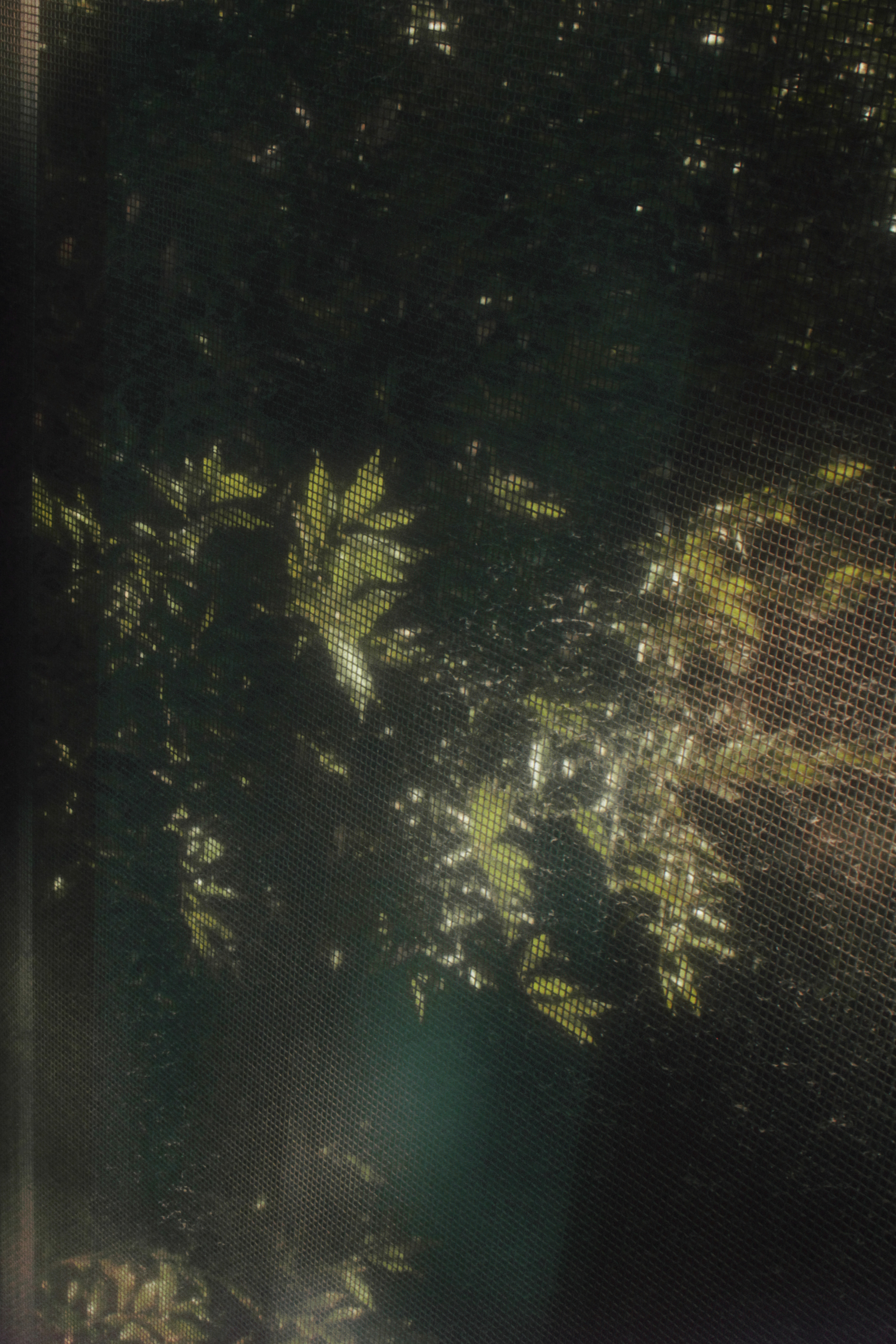 09/08/2023 photograph 12 — 中国重庆市 · 2023年