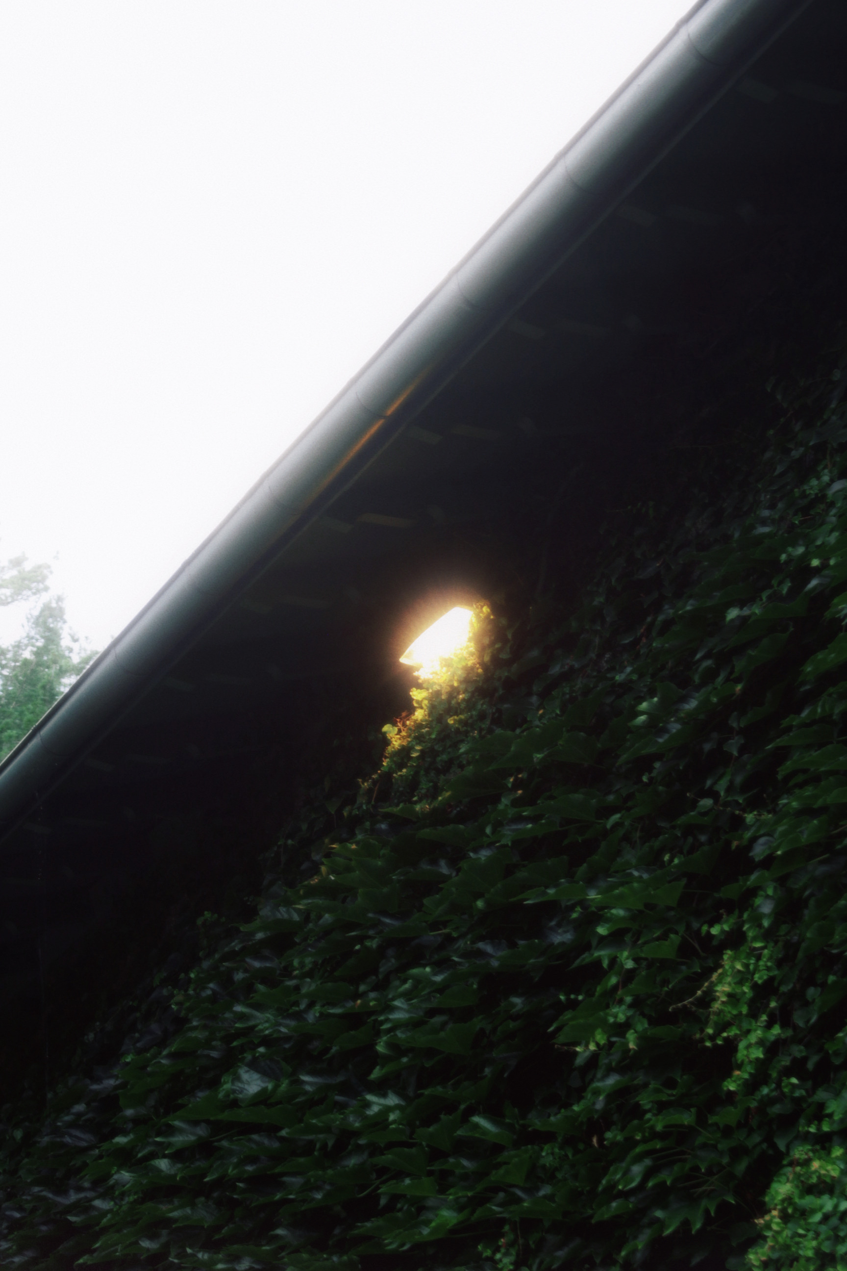 30/08/2025 photograph 11 — 美国纽约伊萨卡 · 2025年