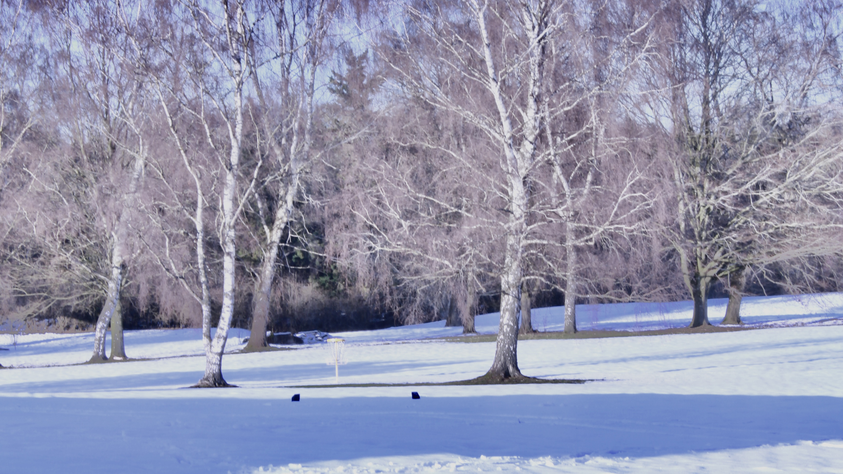 11/03/2023 photograph 3 — 英国奥斯沃斯特里 · 2023年