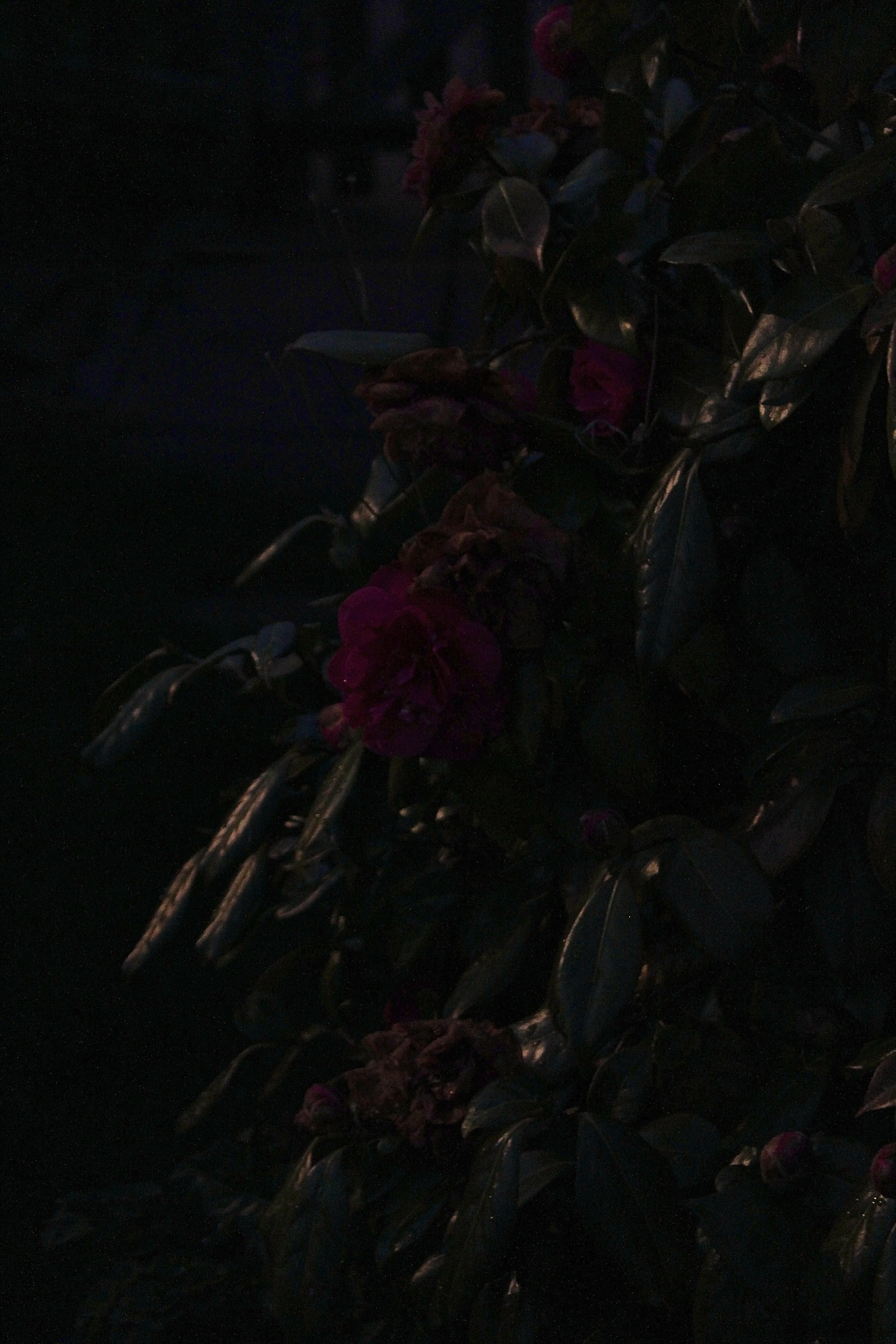 12/04/2022 photograph 2 — 英国奥斯沃斯特里 · 2022年