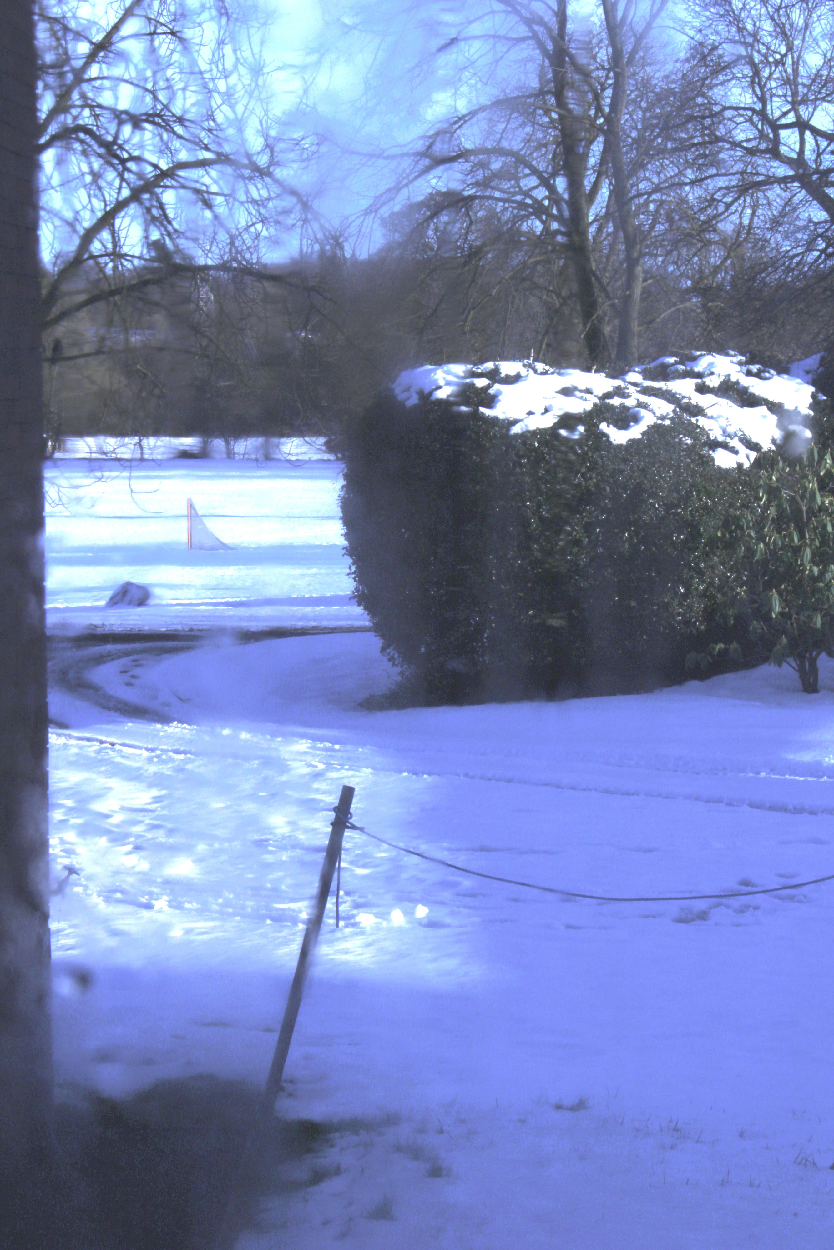 11/03/2023 photograph 2 — 英国奥斯沃斯特里 · 2023年