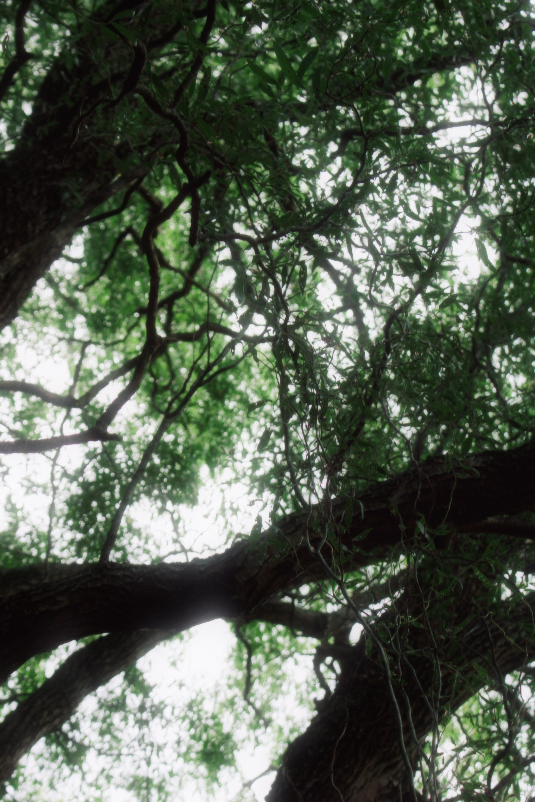 30/08/2025 photograph 14 — 美国纽约伊萨卡 · 2025年