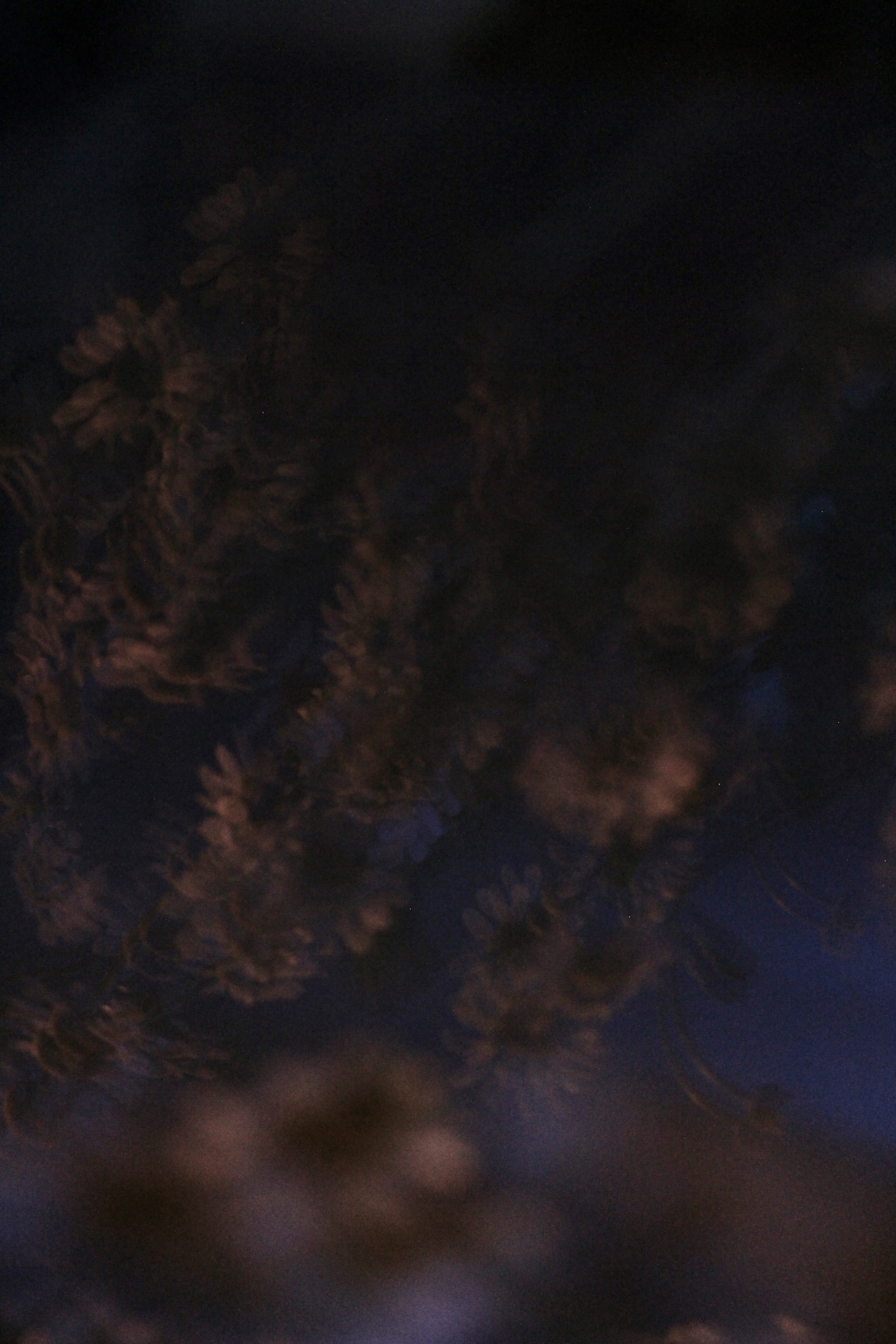 01/06/2022 photograph 1 — 英国奥斯沃斯特里 · 2022年