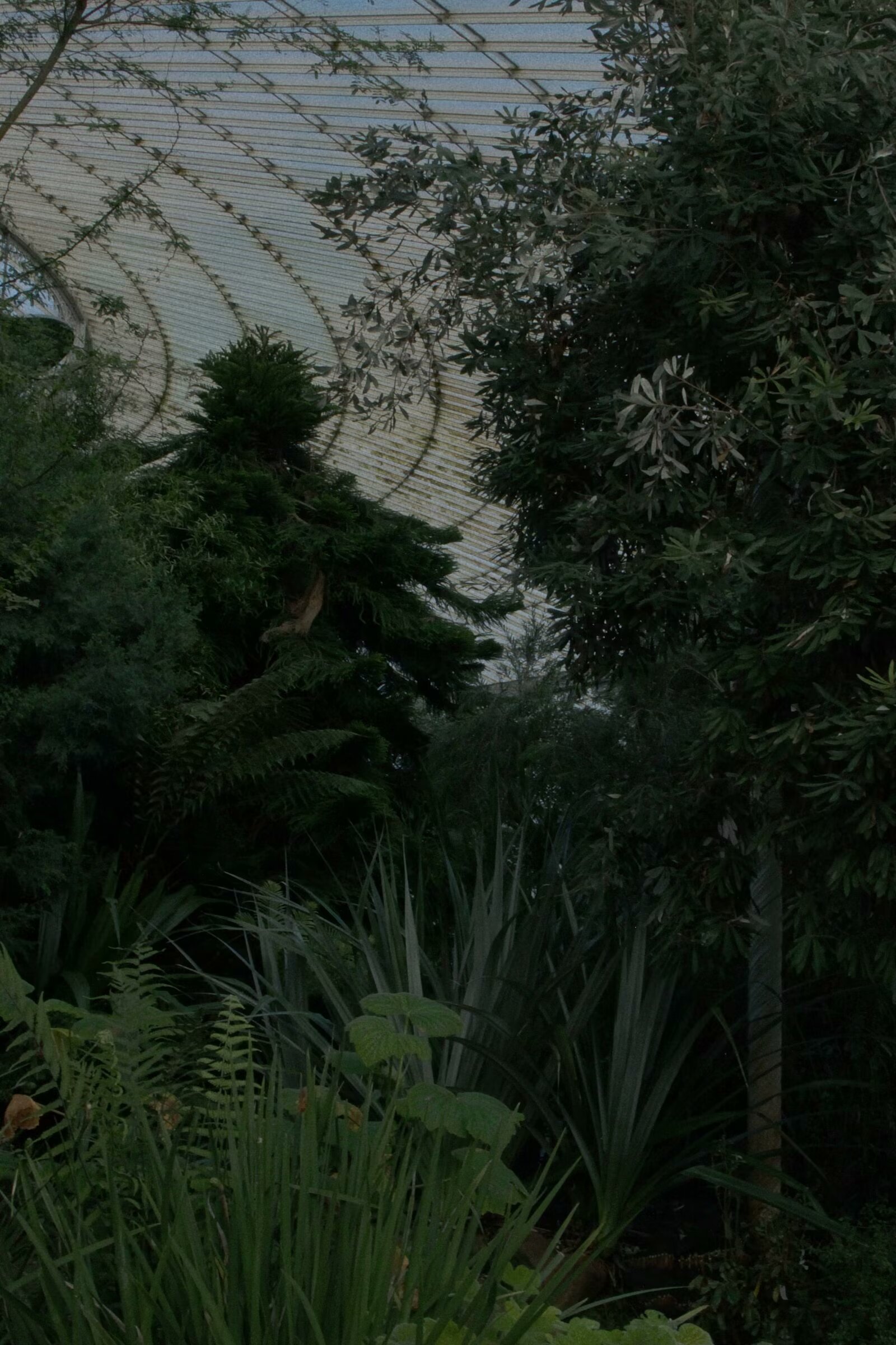 21/10/2023 photograph 6 — 英国格拉斯哥 · 2023年