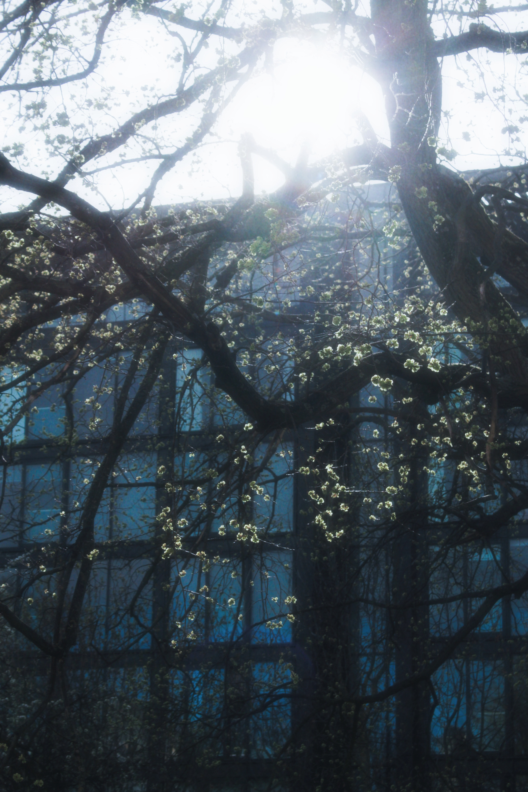 05/04/2025 - Memories of you photograph 15 — 英国爱丁堡 · 2025年