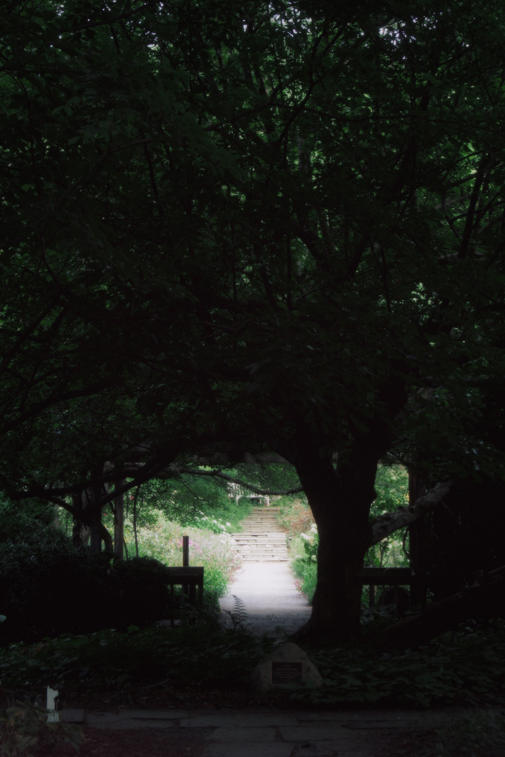 30/08/2025 photograph 7 — 美国纽约伊萨卡 · 2025年