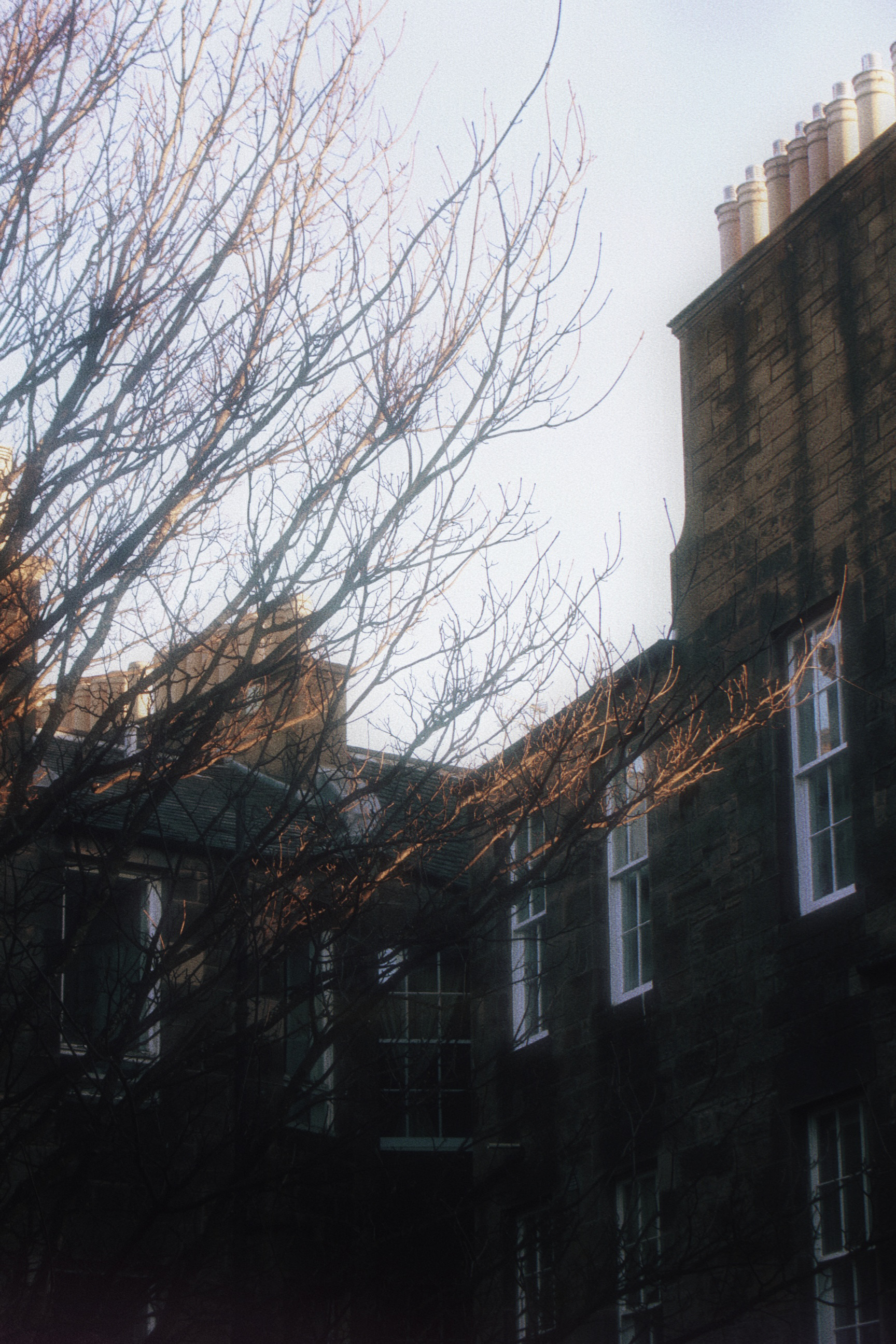 02/01/2025 photograph 3 — 英国爱丁堡 · 2025年