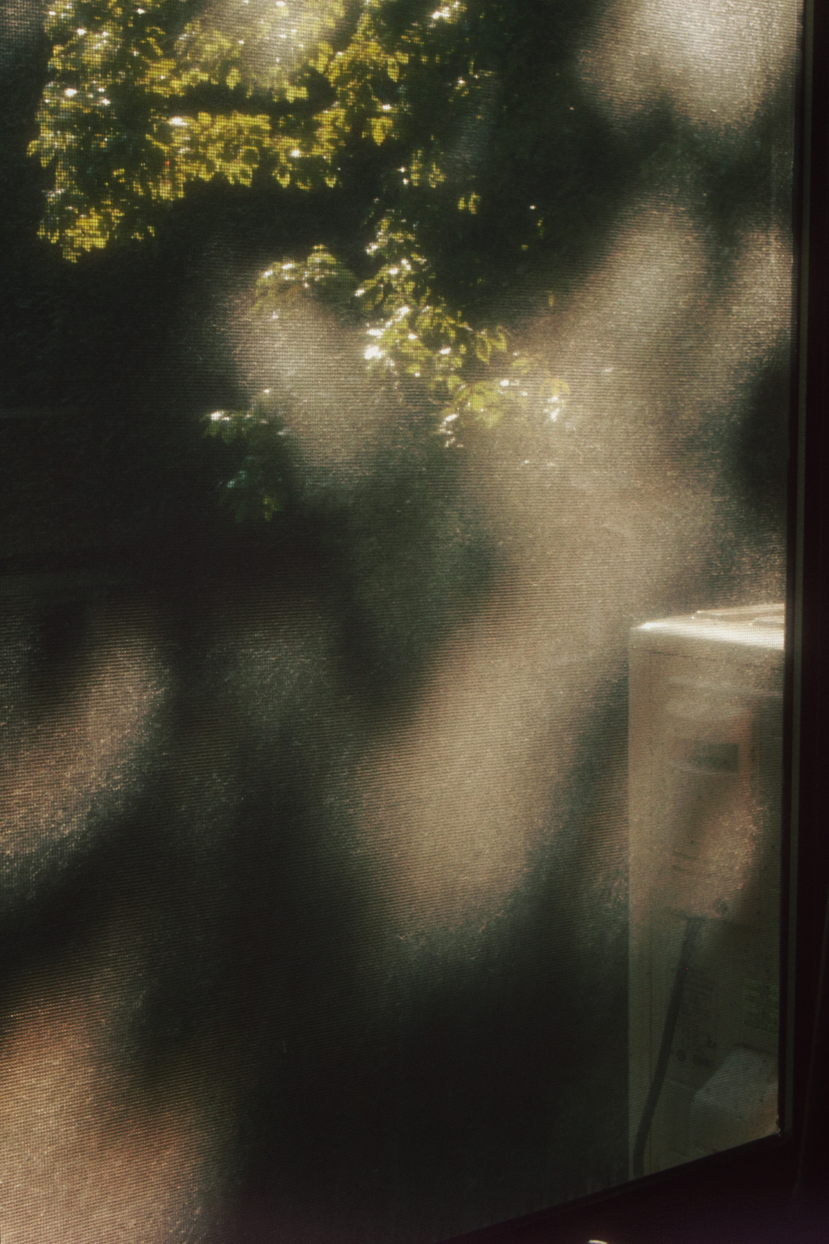 09/08/2023 photograph 2 — 中国重庆市 · 2023年