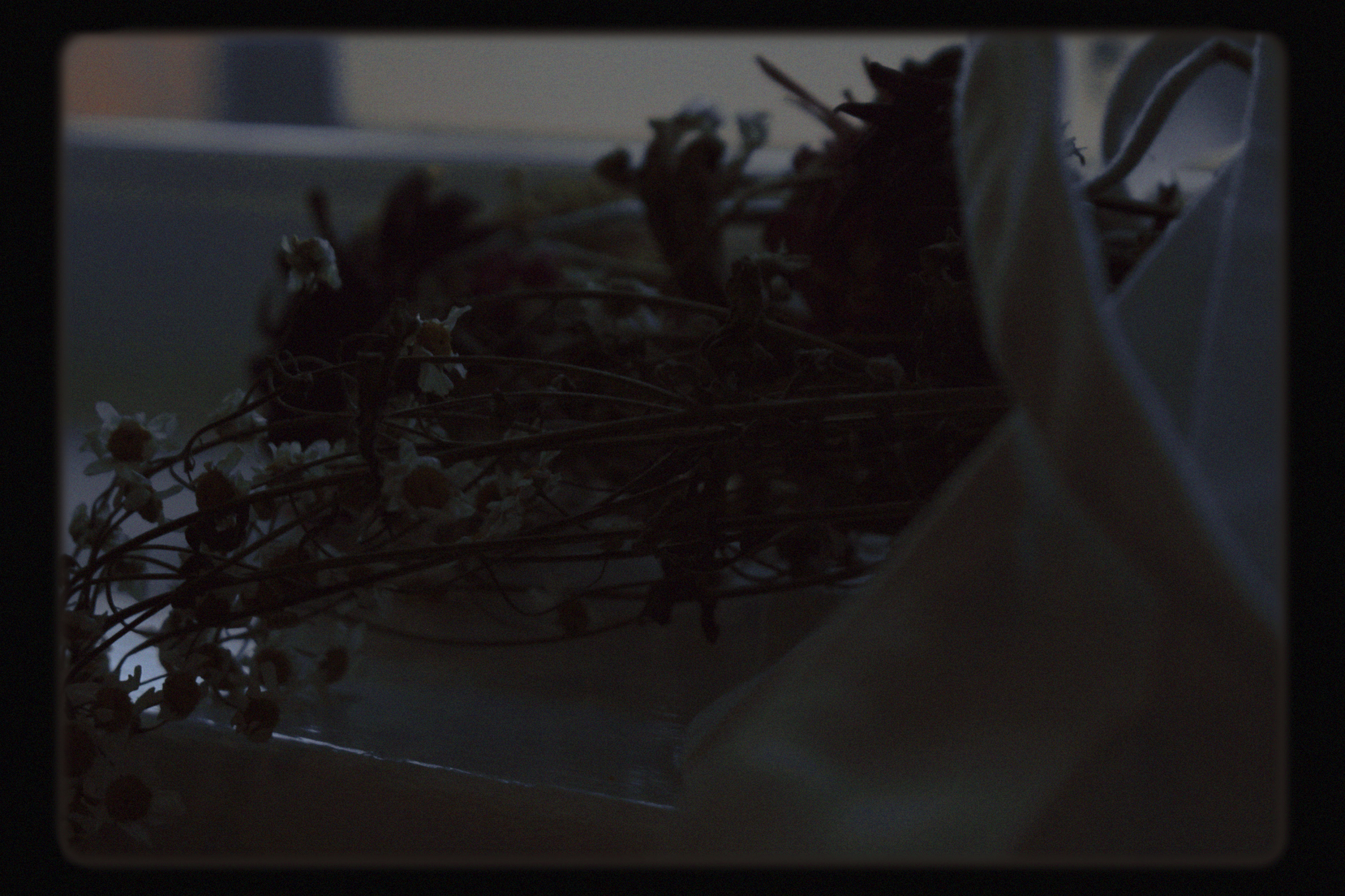 摄影系列预览图：14/06/2022 — 英国奥斯沃斯特里 · 2022年