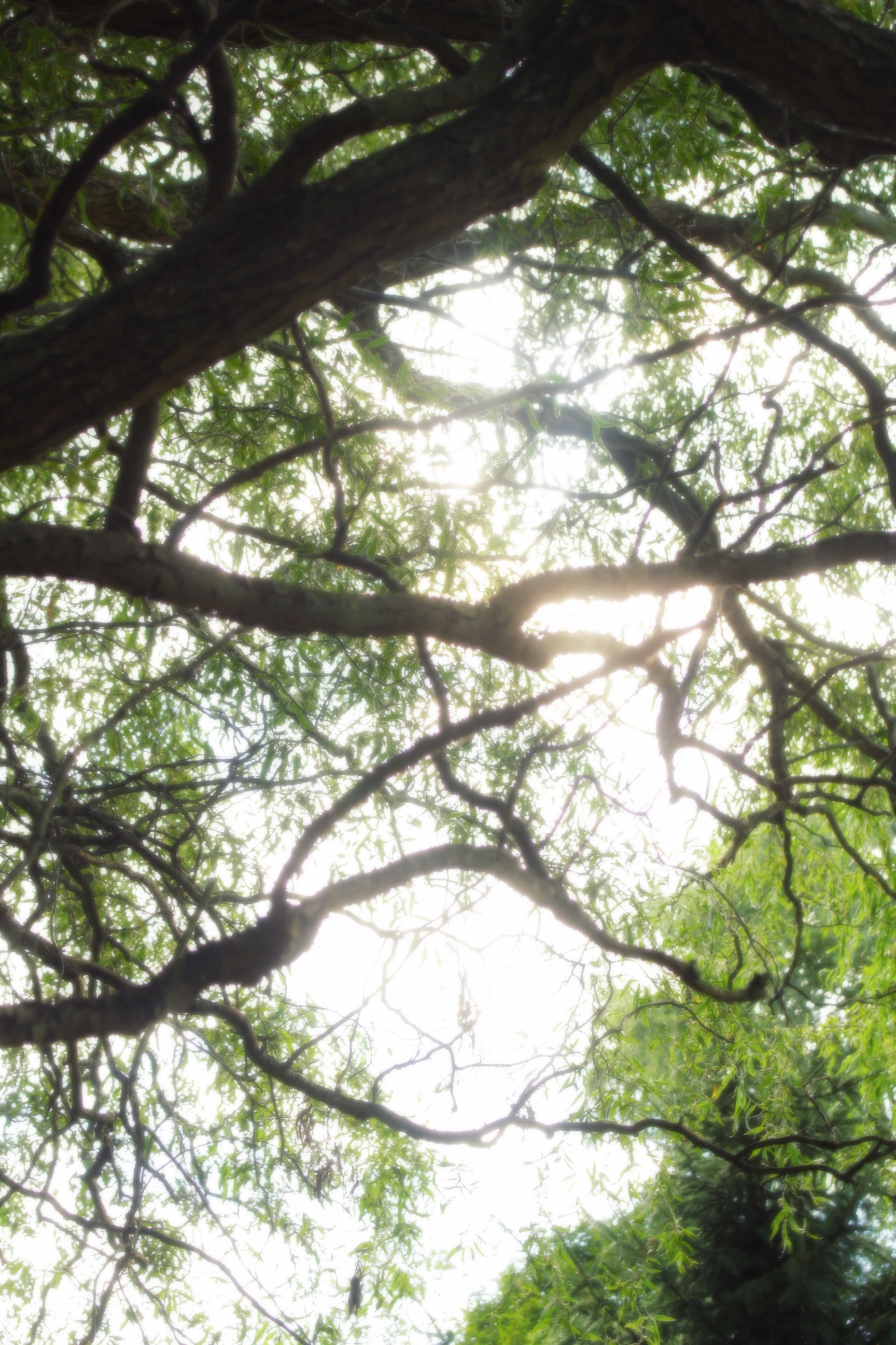 30/08/2025 photograph 15 — 美国纽约伊萨卡 · 2025年