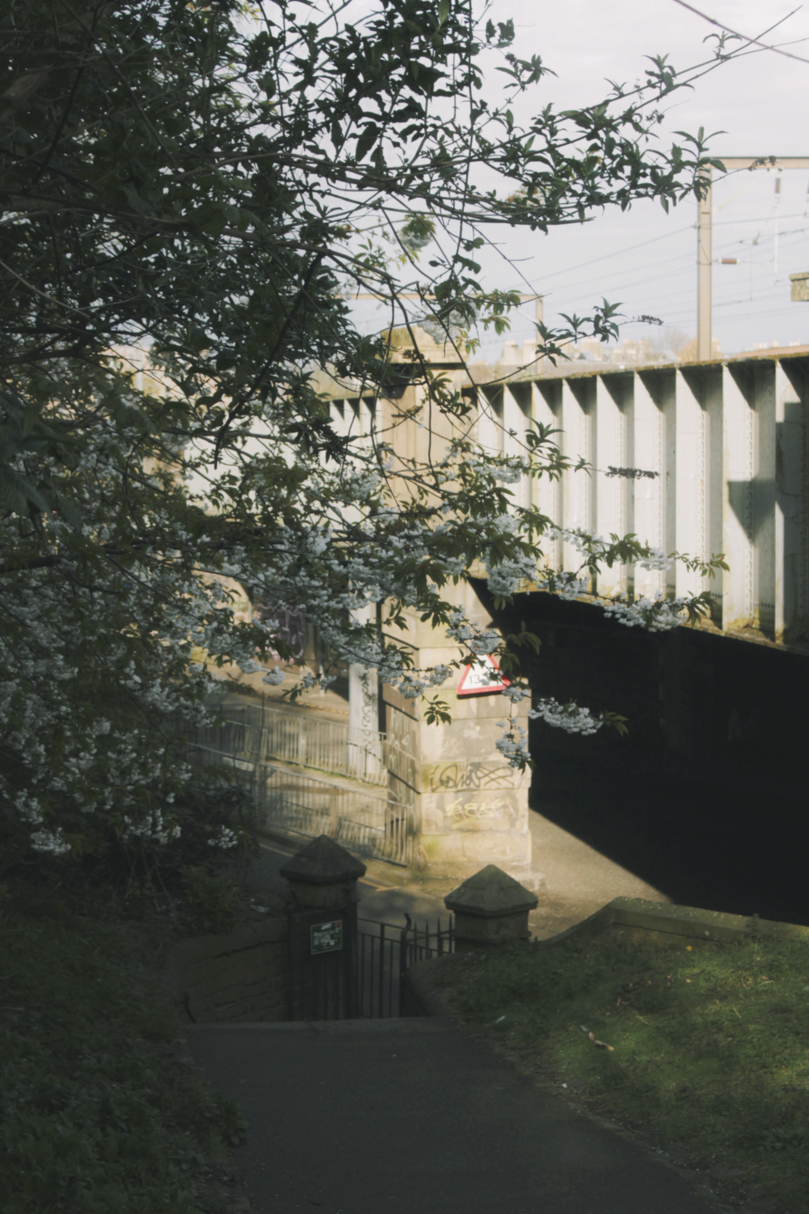 20/04/2024 photograph 3 — 英国爱丁堡 · 2024年