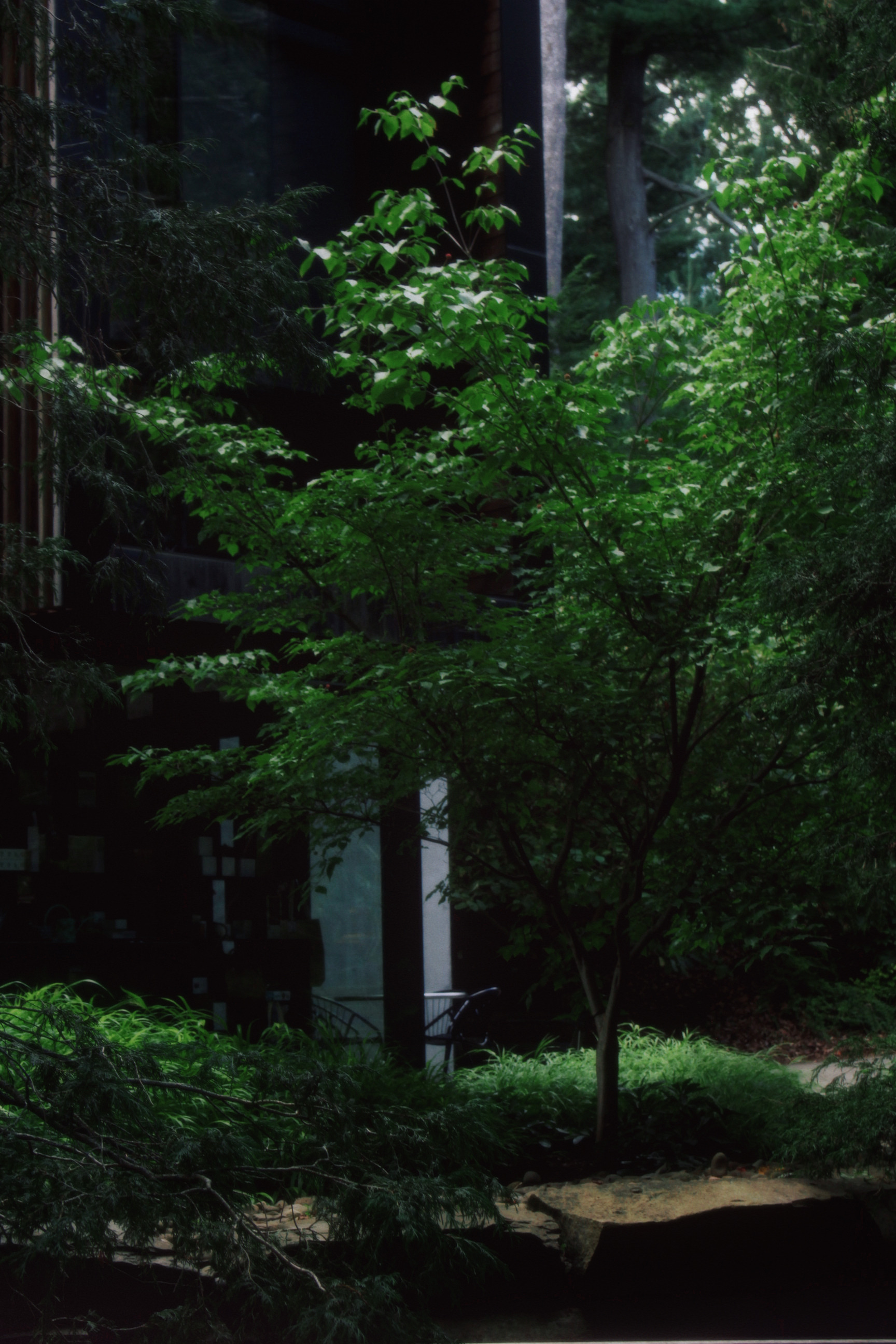 30/08/2025 photograph 10 — 美国纽约伊萨卡 · 2025年