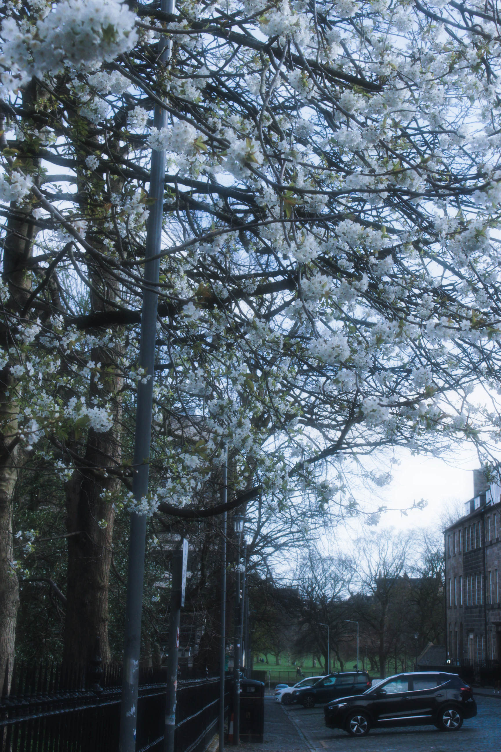 05/04/2025 - Memories of you photograph 14 — 英国爱丁堡 · 2025年