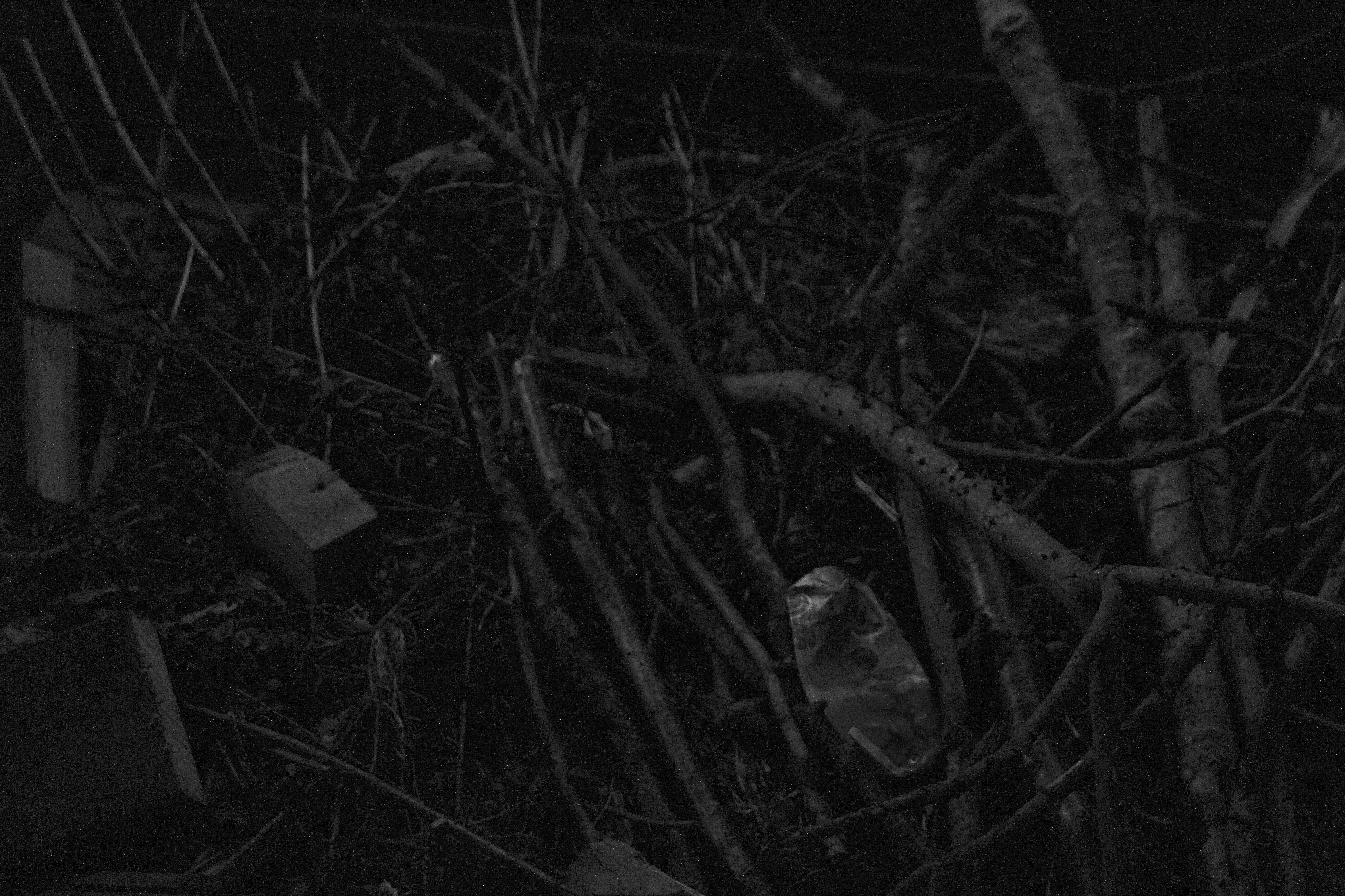 12/04/2022 photograph 4 — 英国奥斯沃斯特里 · 2022年