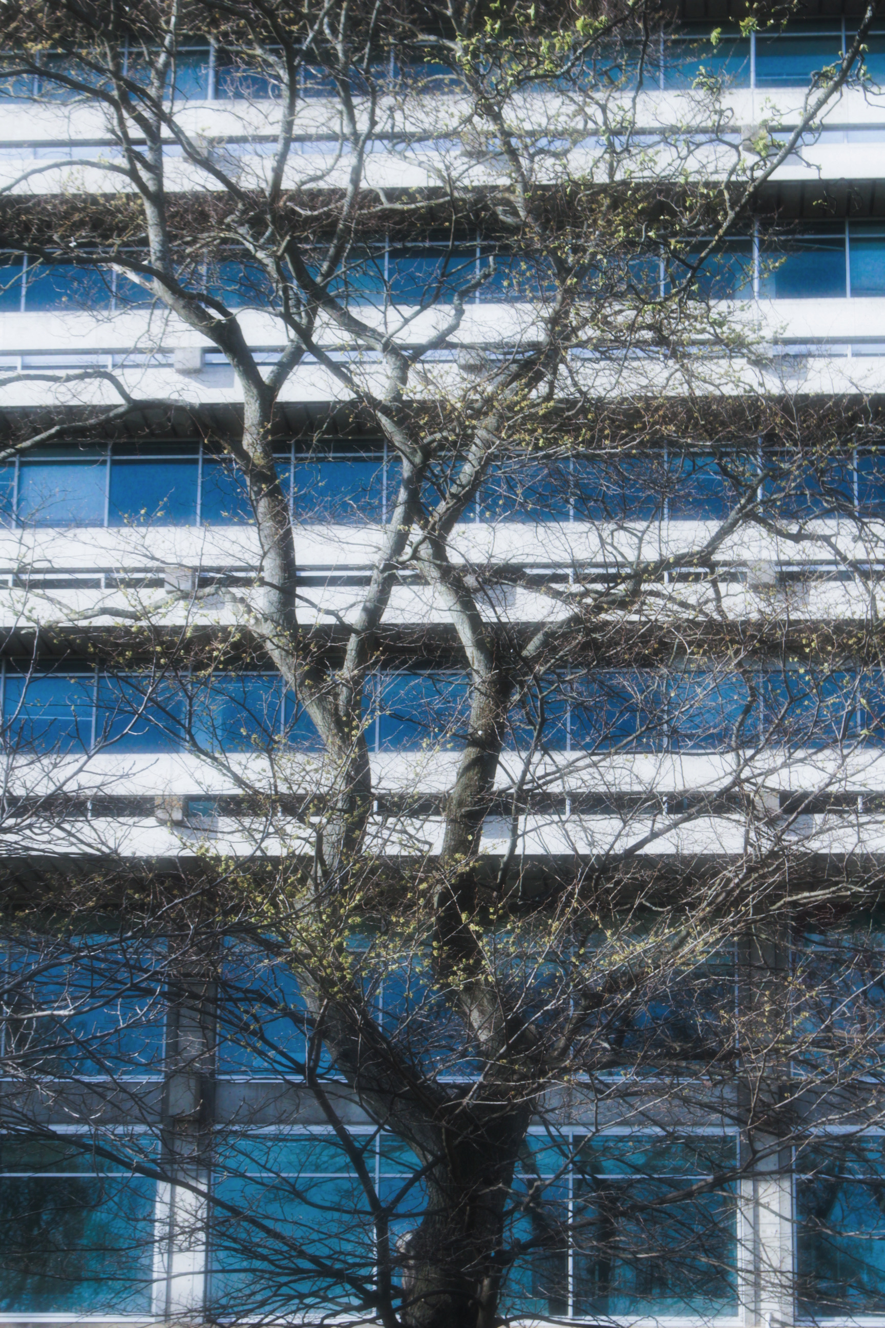 你的记忆 — 英国 · 爱丁堡