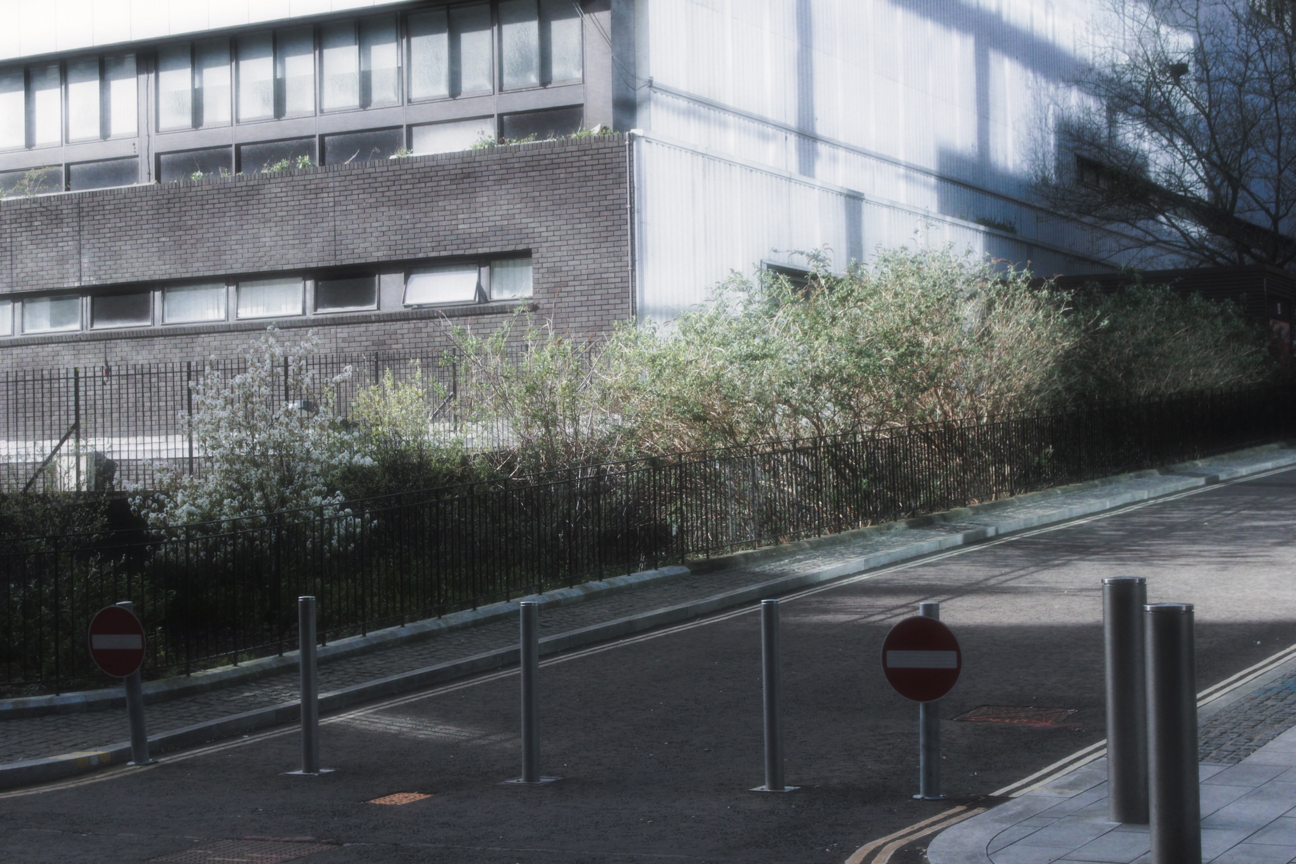 05/04/2025 - Memories of you photograph 9 — 英国爱丁堡 · 2025年