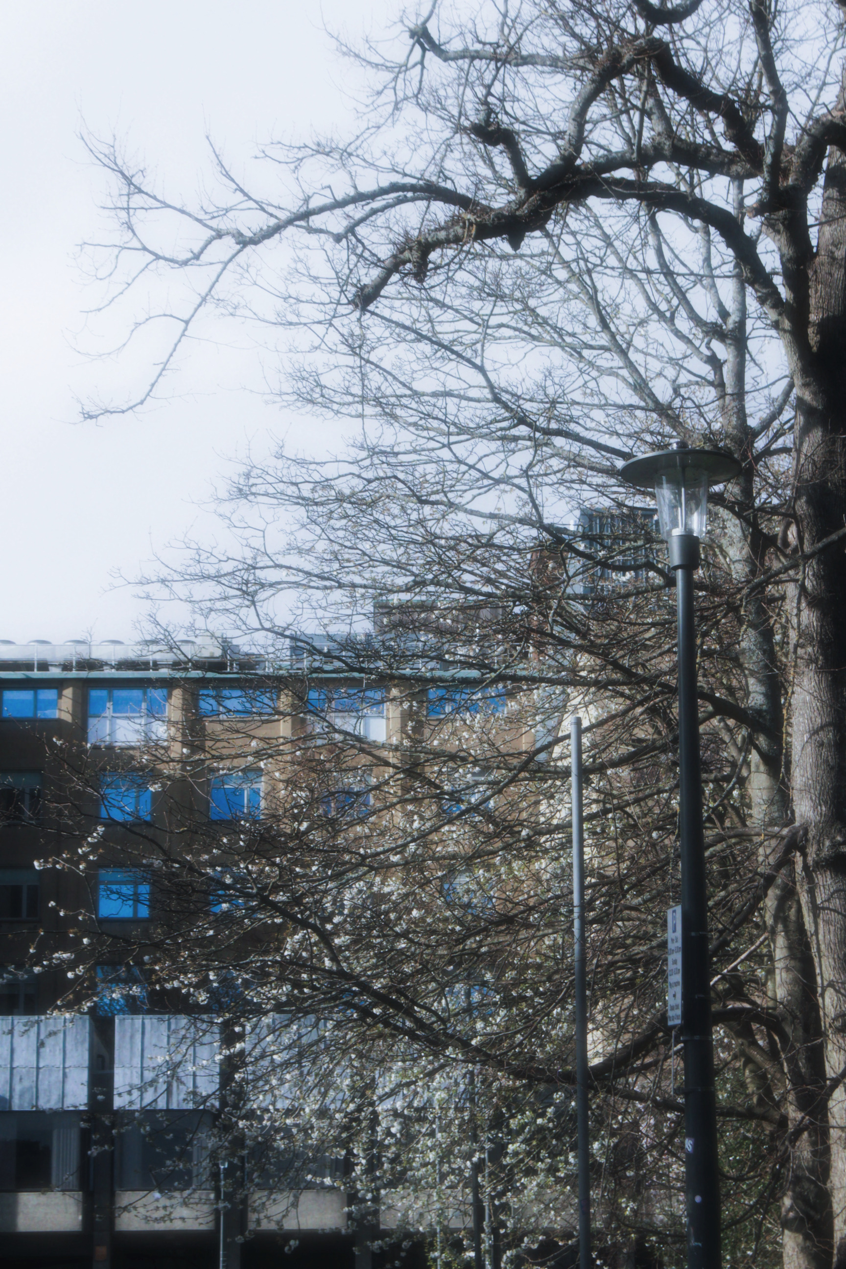 05/04/2025 - Memories of you photograph 16 — 英国爱丁堡 · 2025年