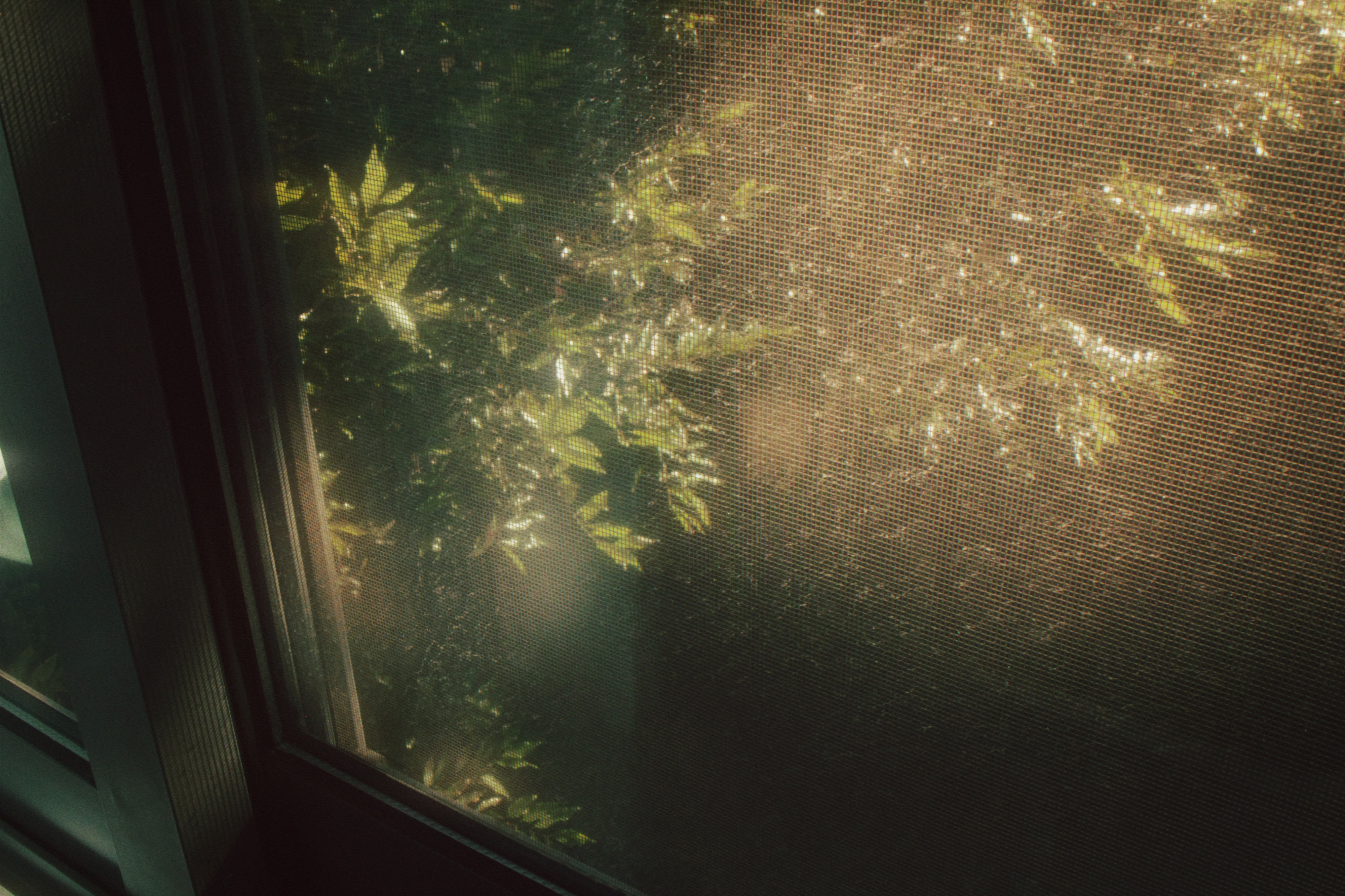 09/08/2023 photograph 10 — 中国重庆市 · 2023年