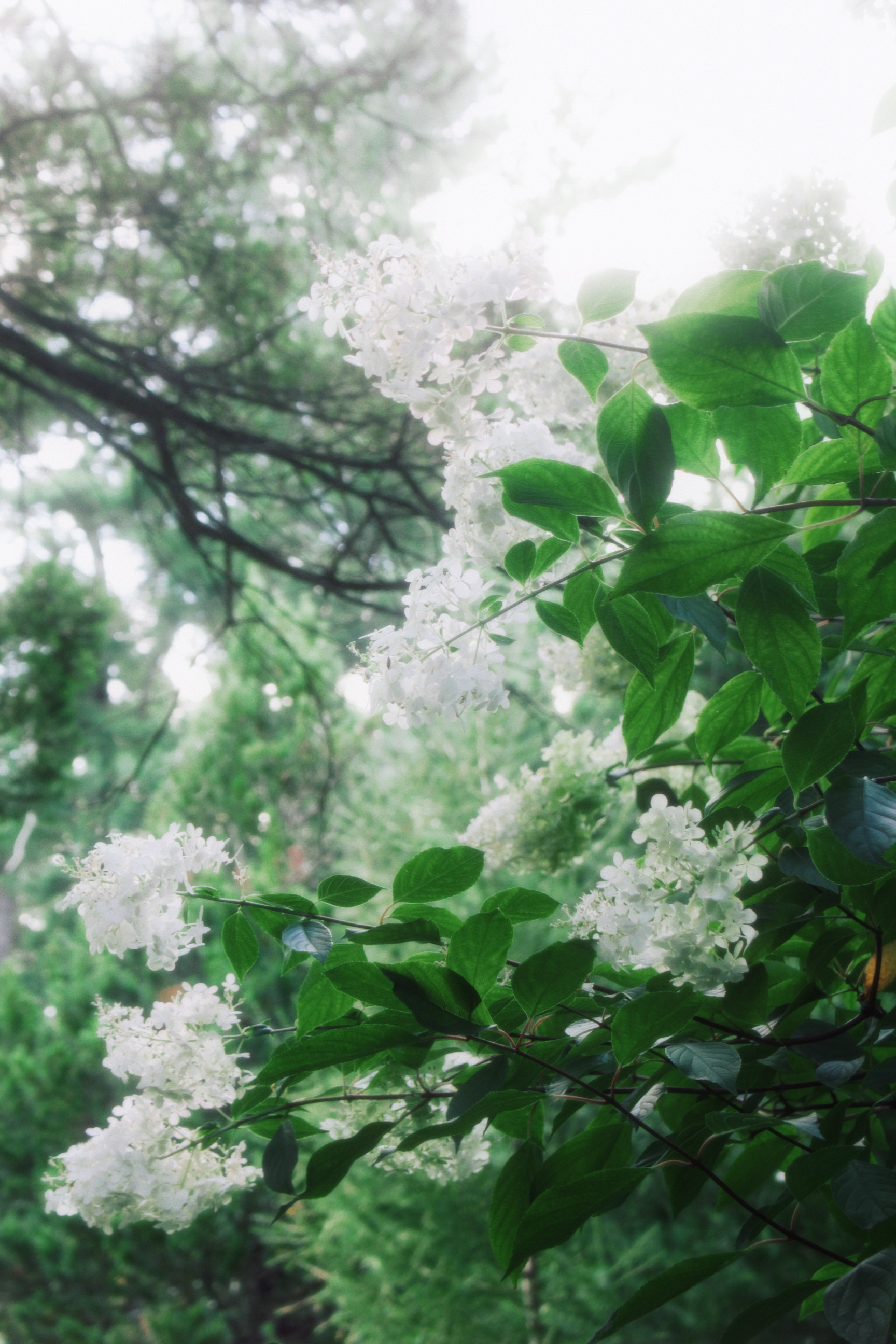 30/08/2025 photograph 8 — 美国纽约伊萨卡 · 2025年